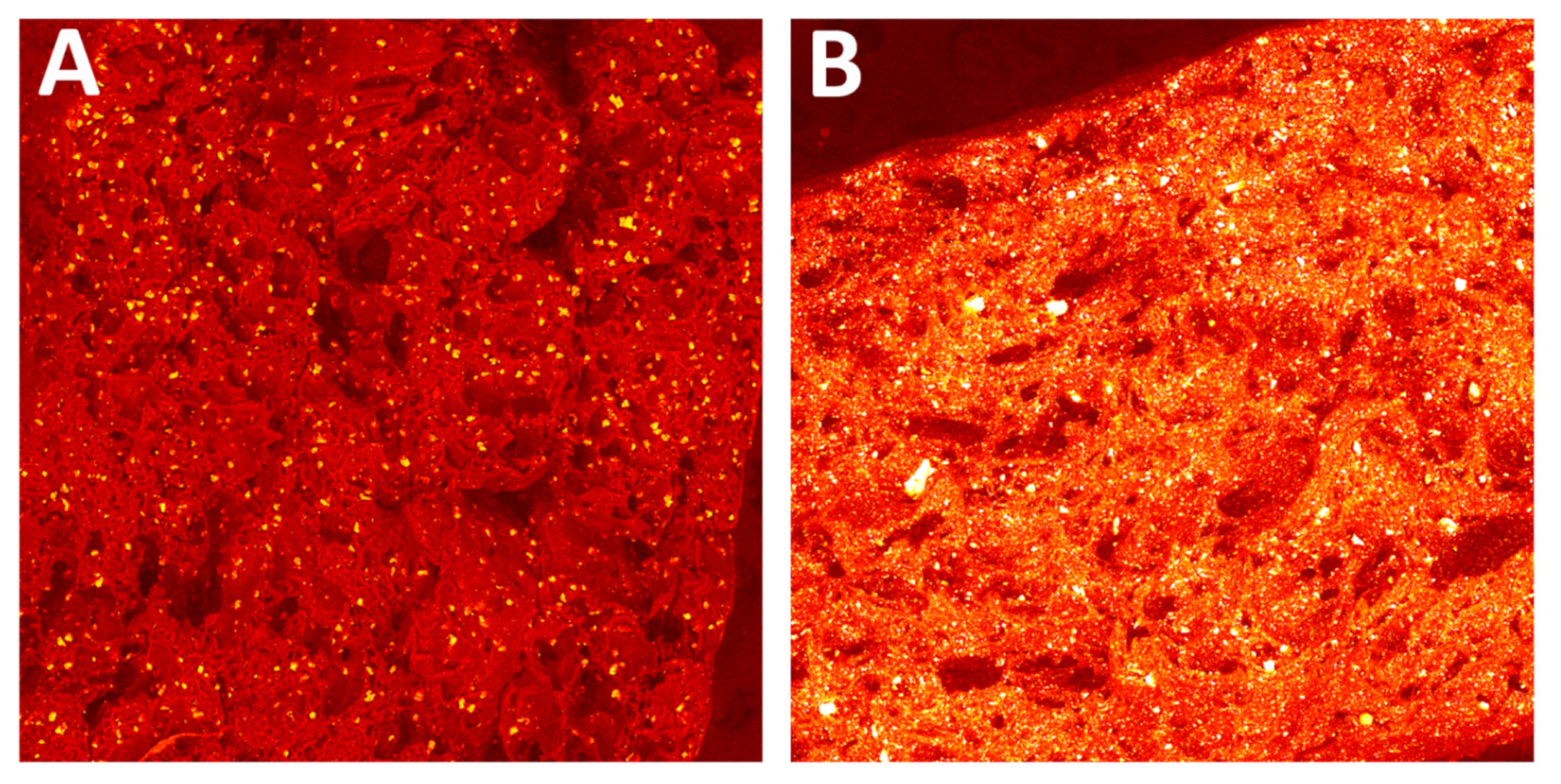 Polymers 14 03152 g017
