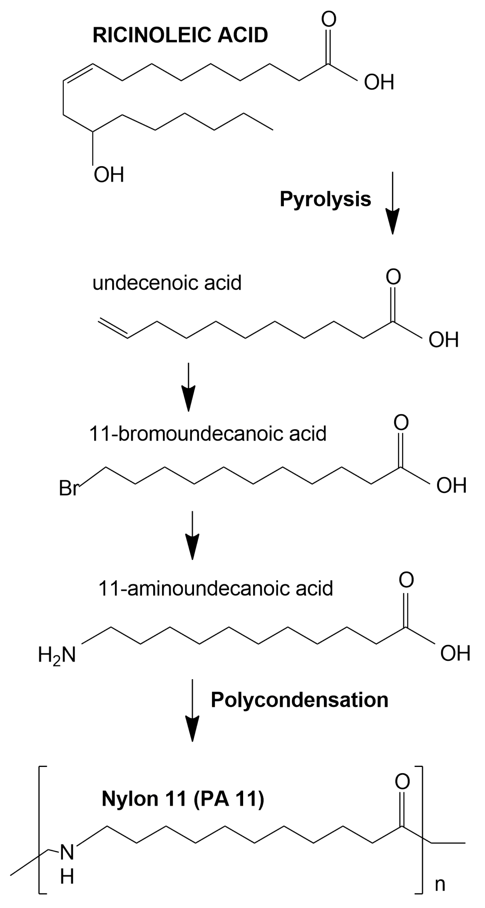 Polymers 14 03153 g002