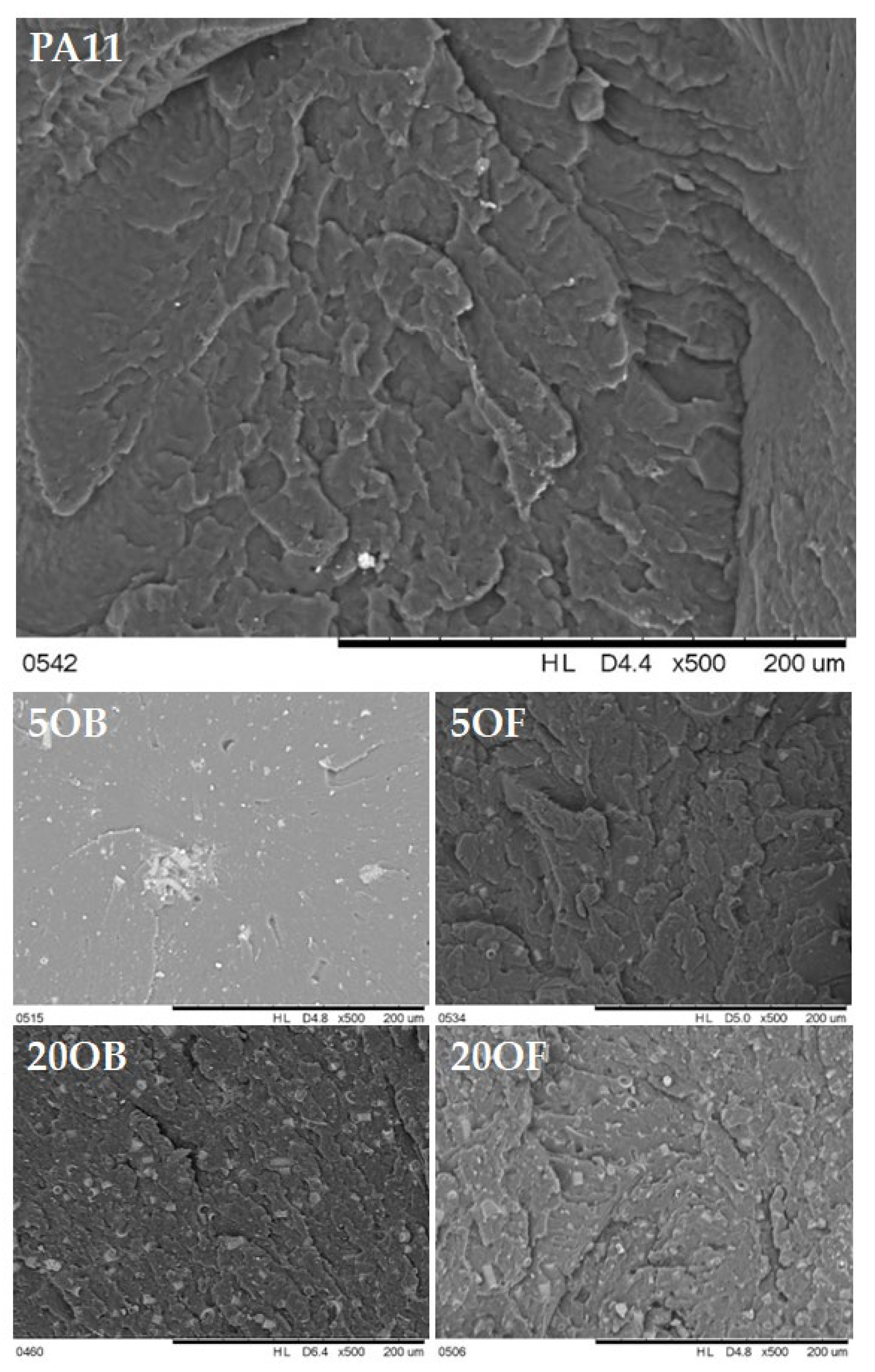 Polymers 14 03153 g012