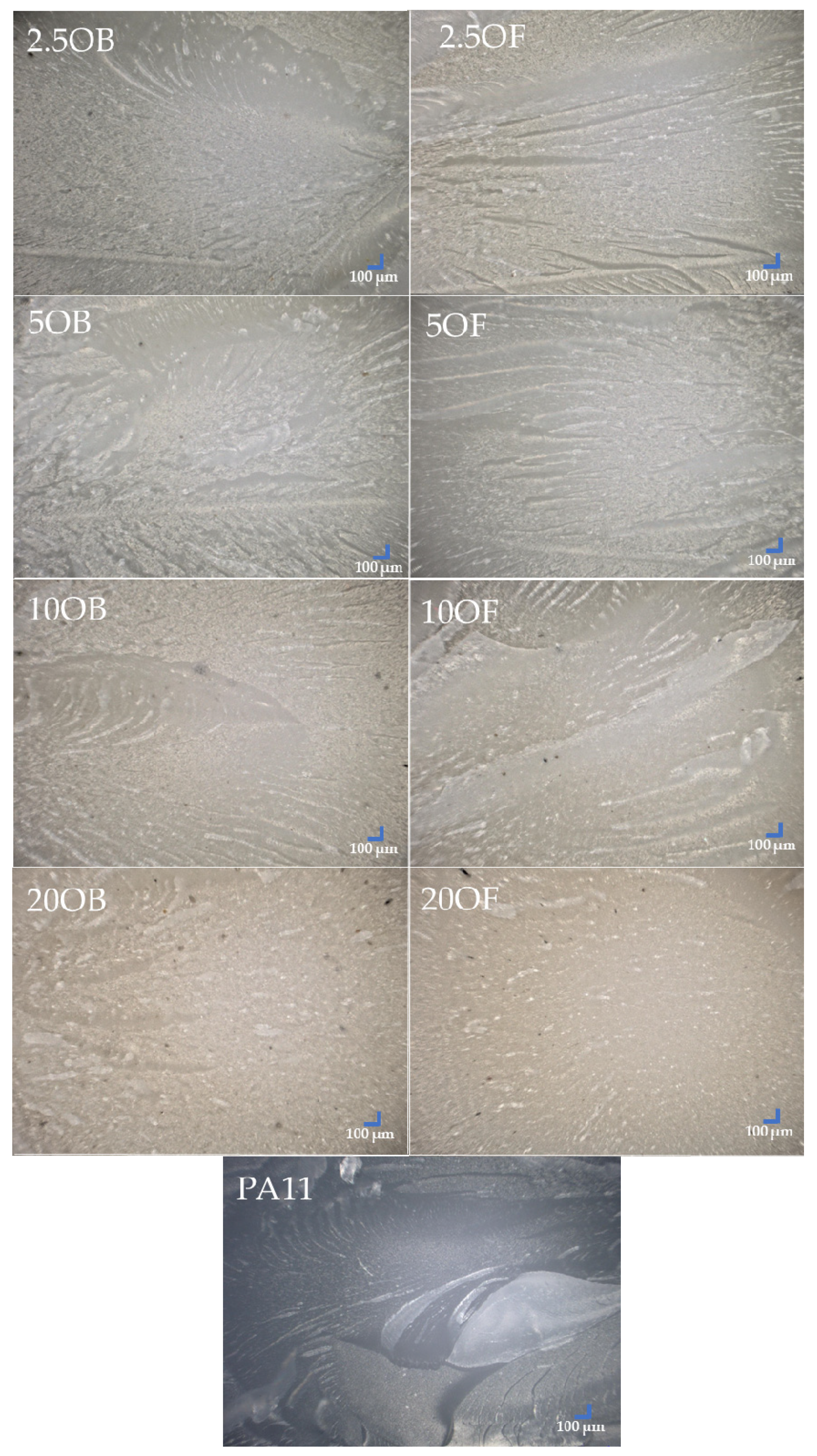 Polymers 14 03153 g014