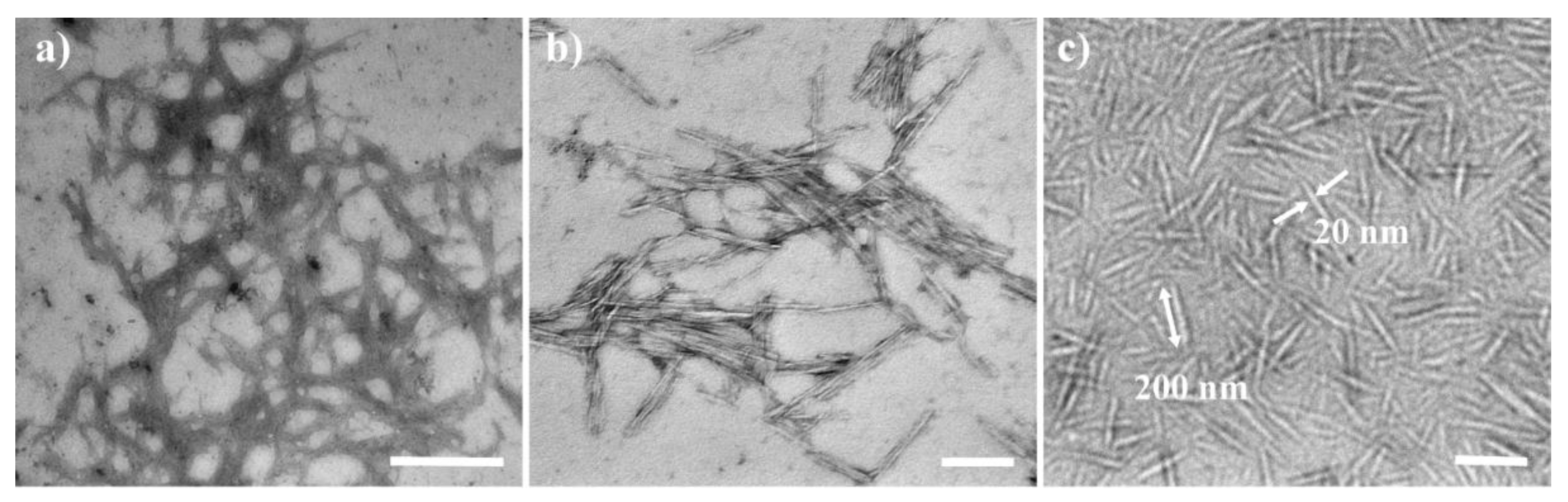 Polymers 14 03158 g002