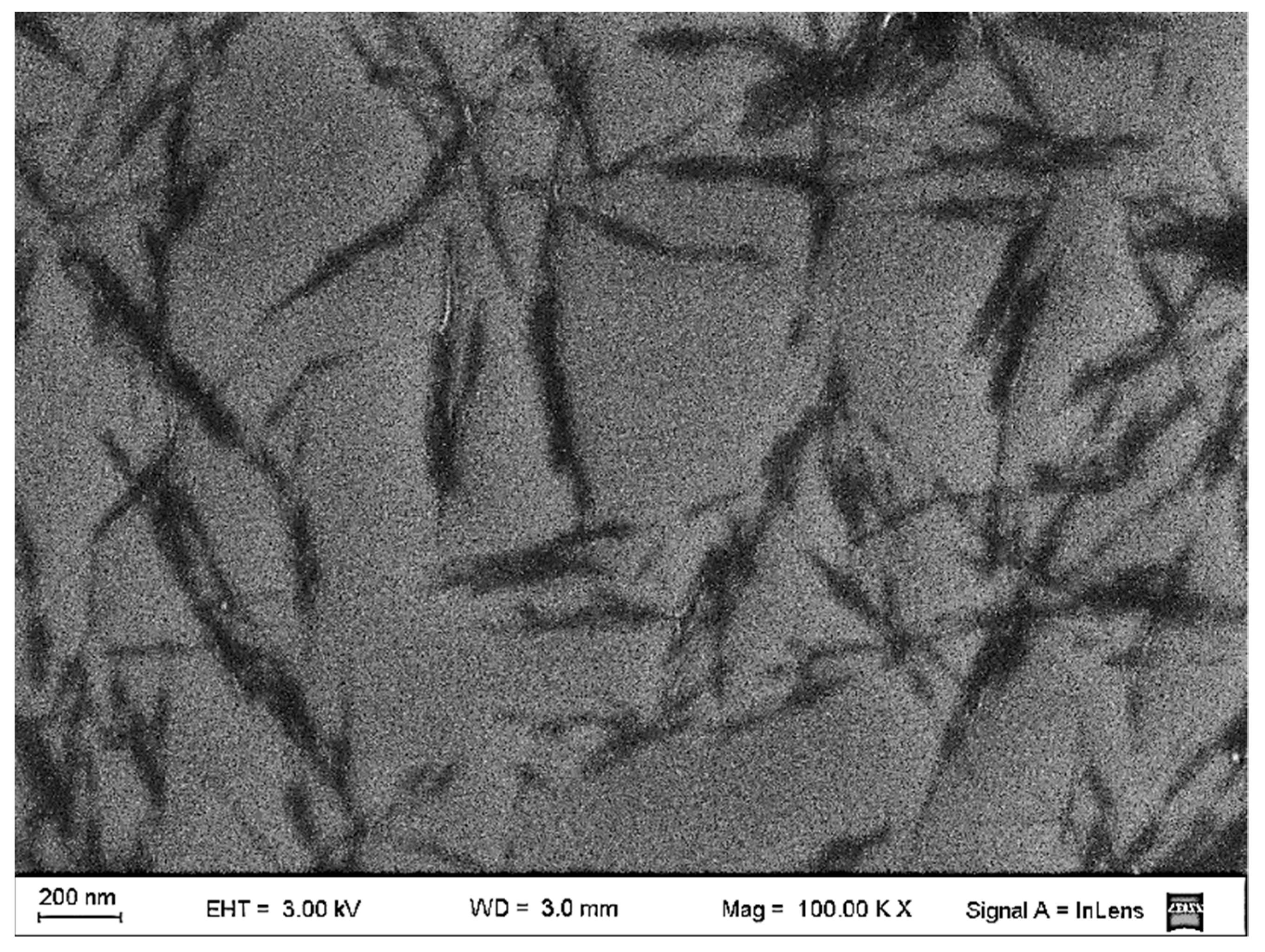 Polymers 14 03177 g001