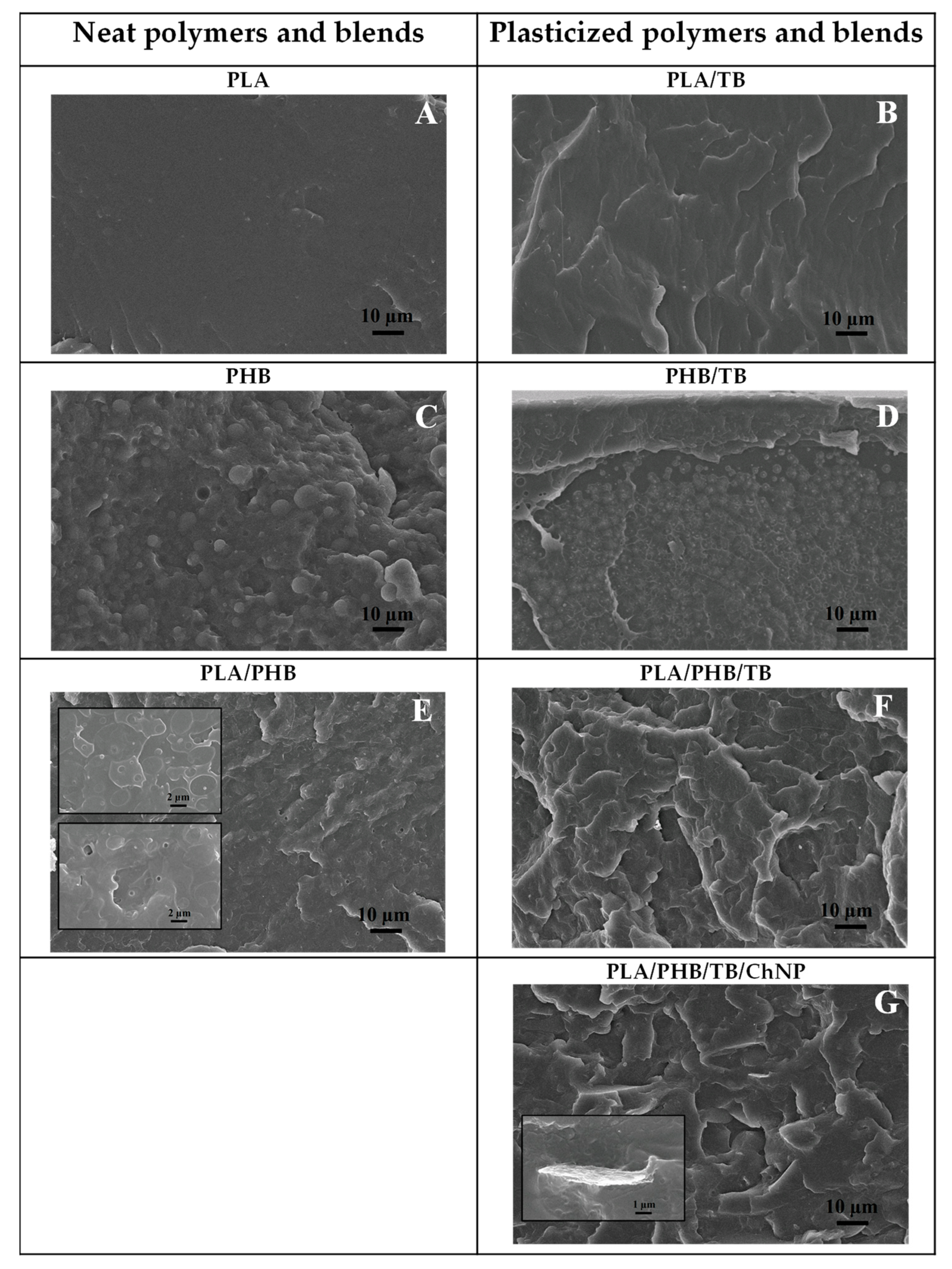 Polymers 14 03177 g004