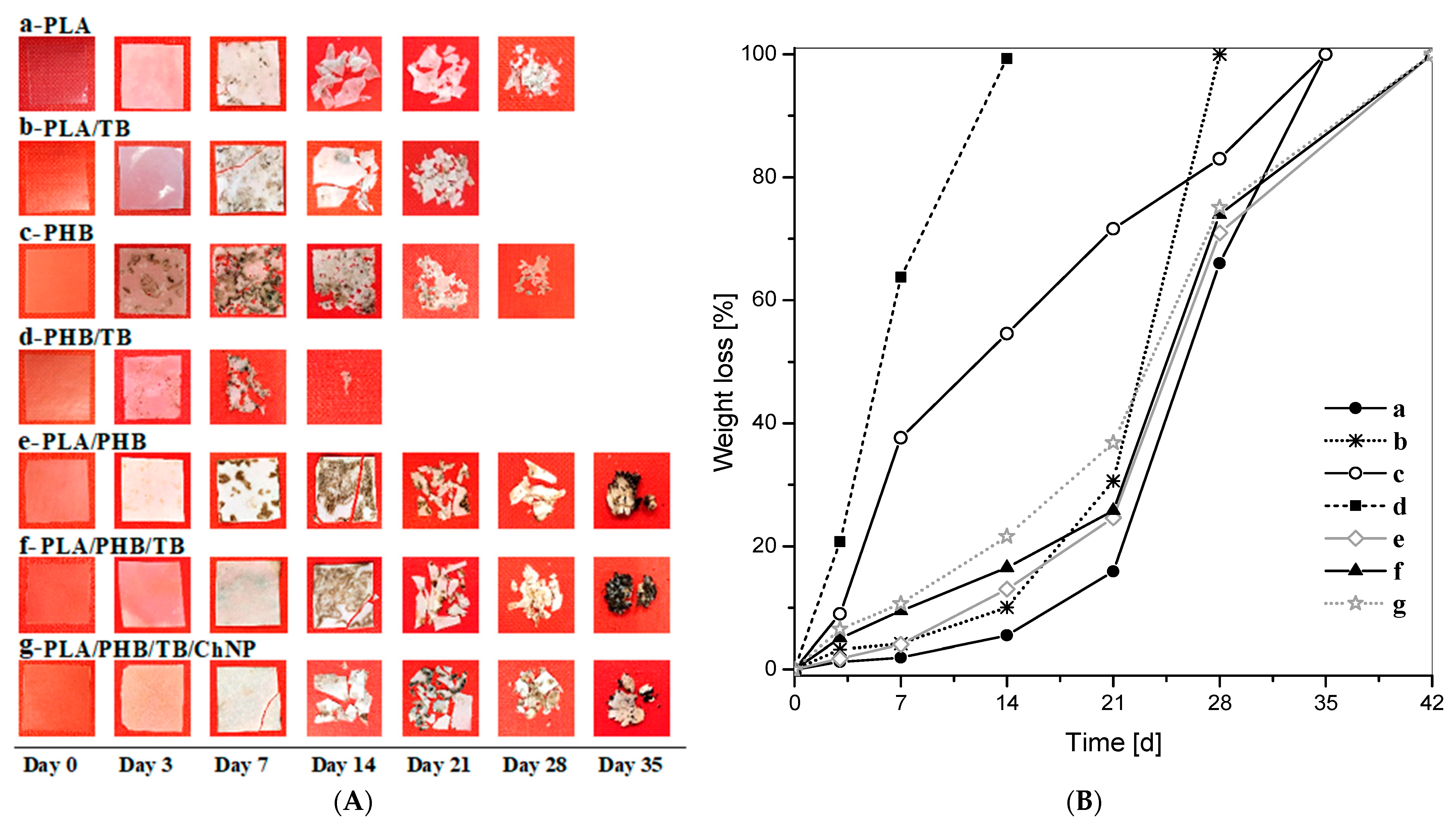 Polymers 14 03177 g010