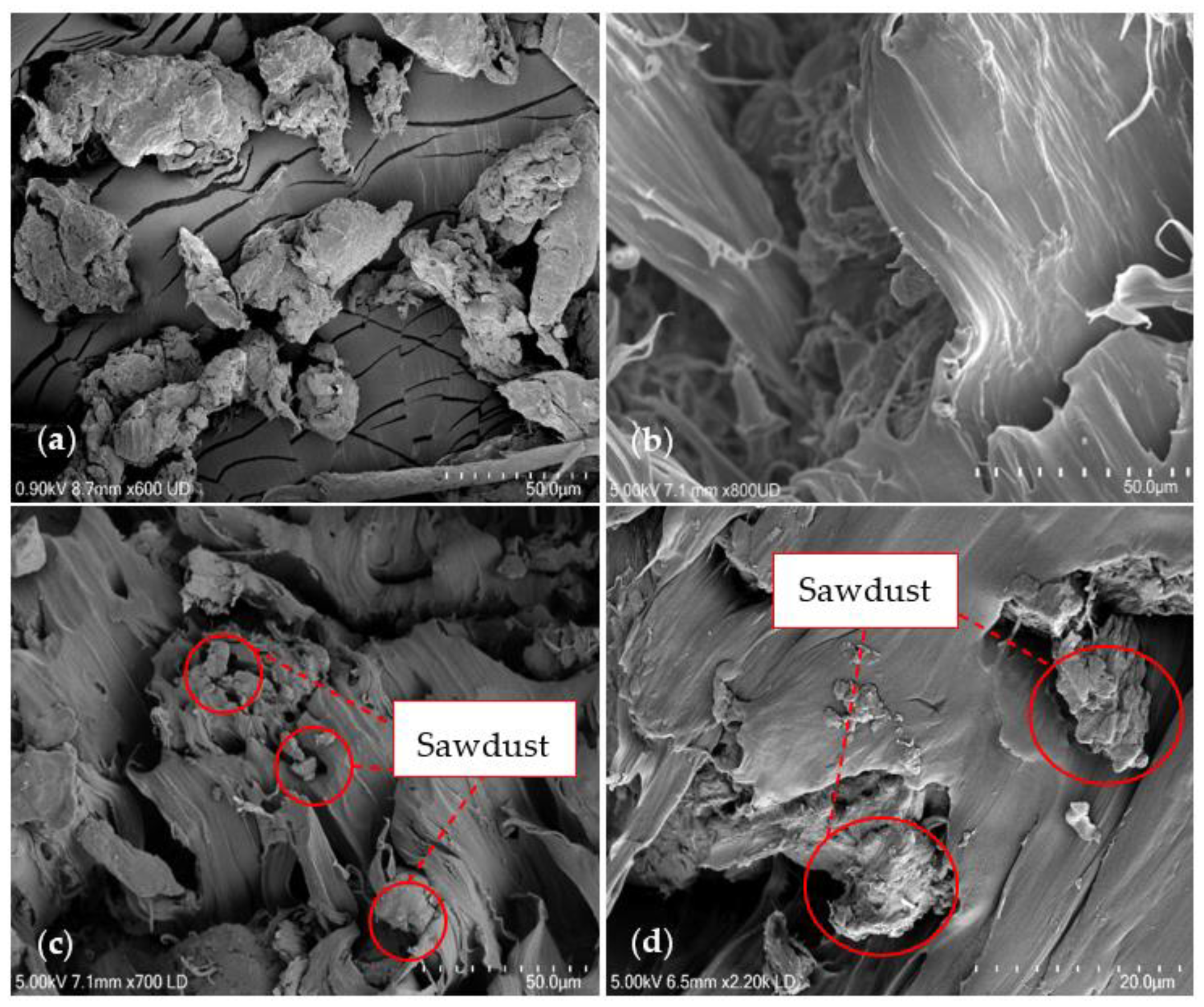 Polymers 14 03183 g002