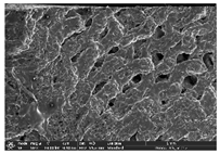 Polymers 14 03189 i004