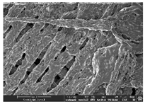 Polymers 14 03189 i007