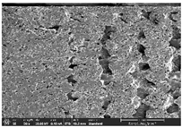 Polymers 14 03189 i013