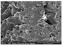 Polymers 14 03189 i014