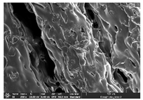 Polymers 14 03189 i023