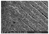 Polymers 14 03189 i025