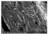 Polymers 14 03189 i026