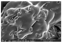 Polymers 14 03189 i030
