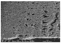 Polymers 14 03189 i034