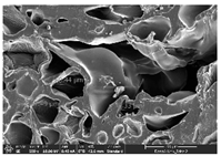 Polymers 14 03189 i036