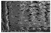 Polymers 14 03189 i049