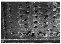 Polymers 14 03189 i052