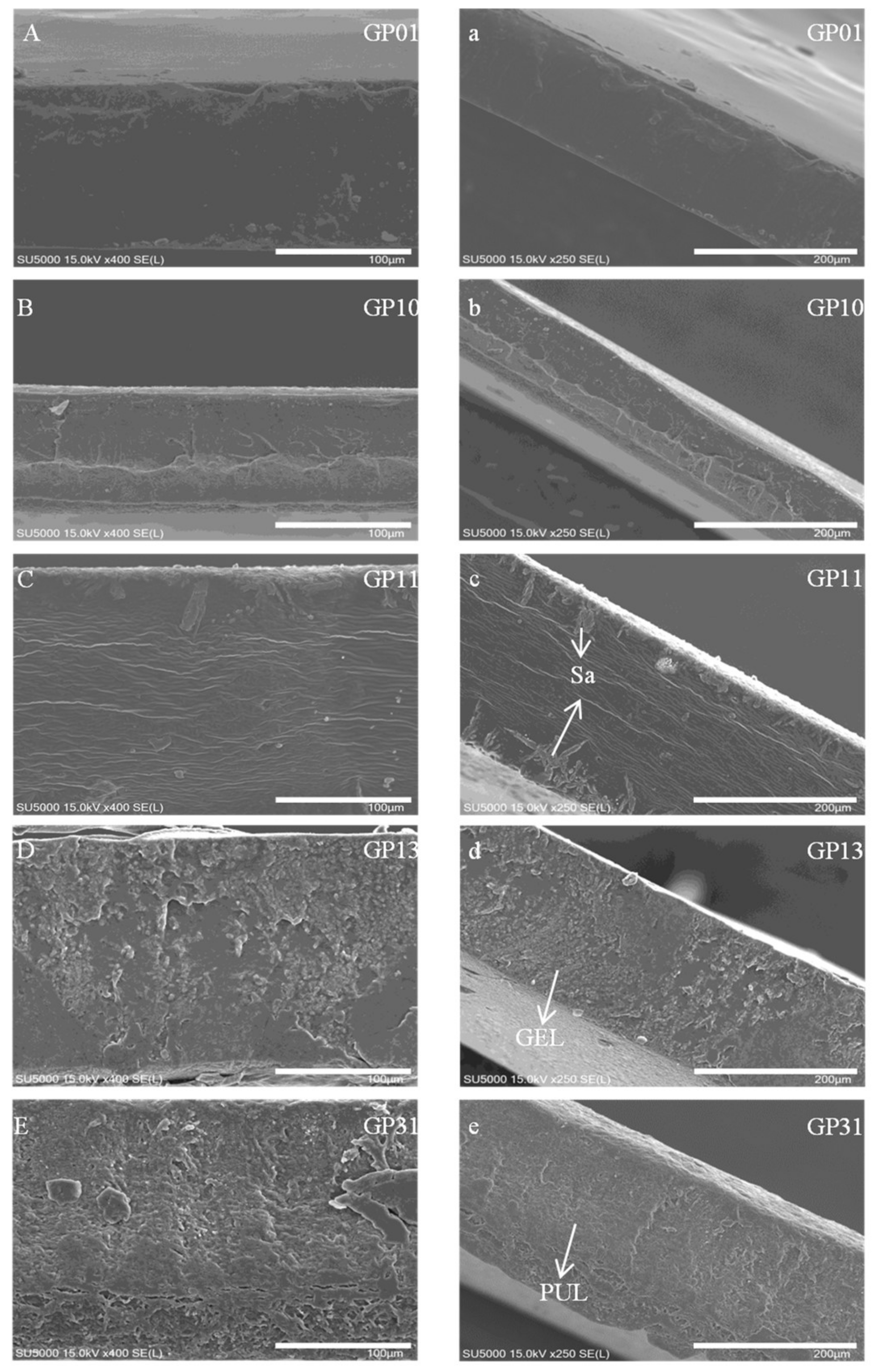 Polymers 14 03199 g002