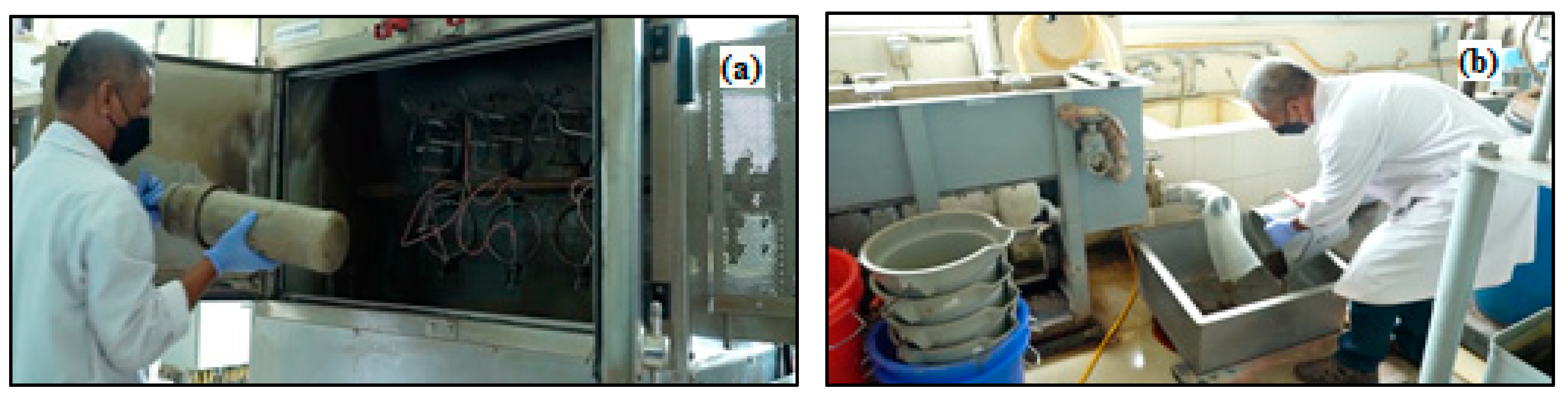 Polymers 14 03208 g005