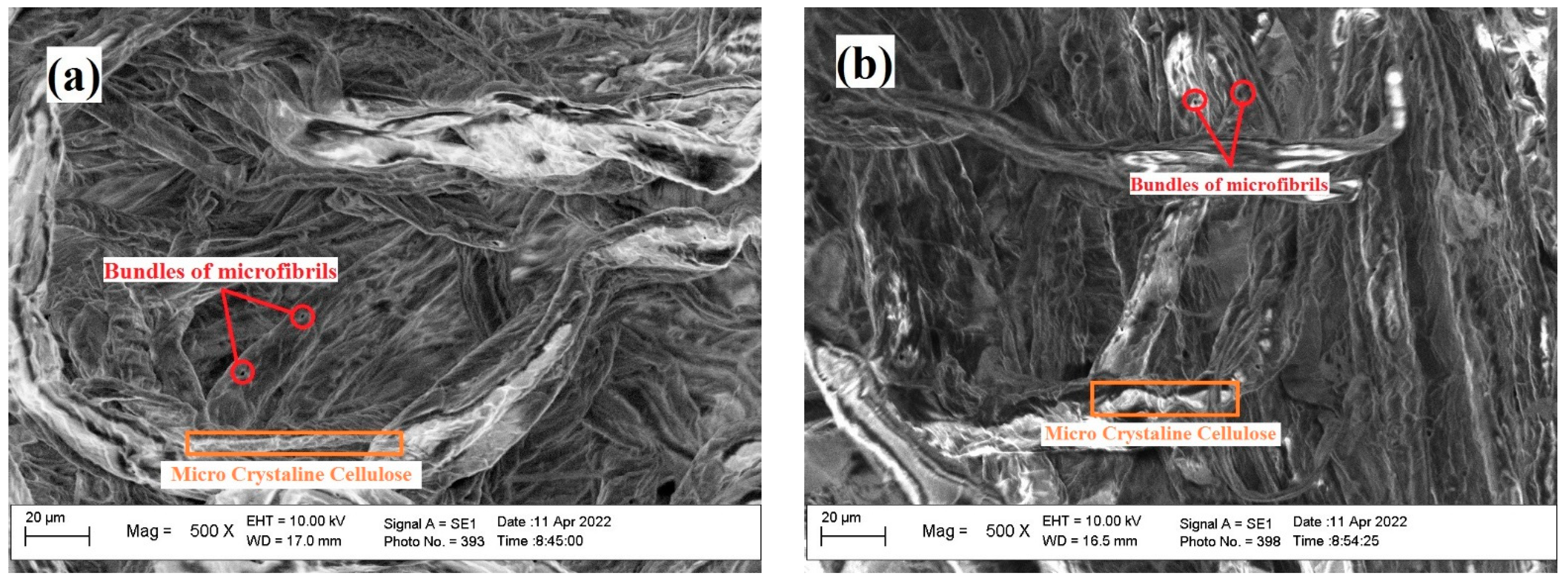 Polymers 14 03208 g009