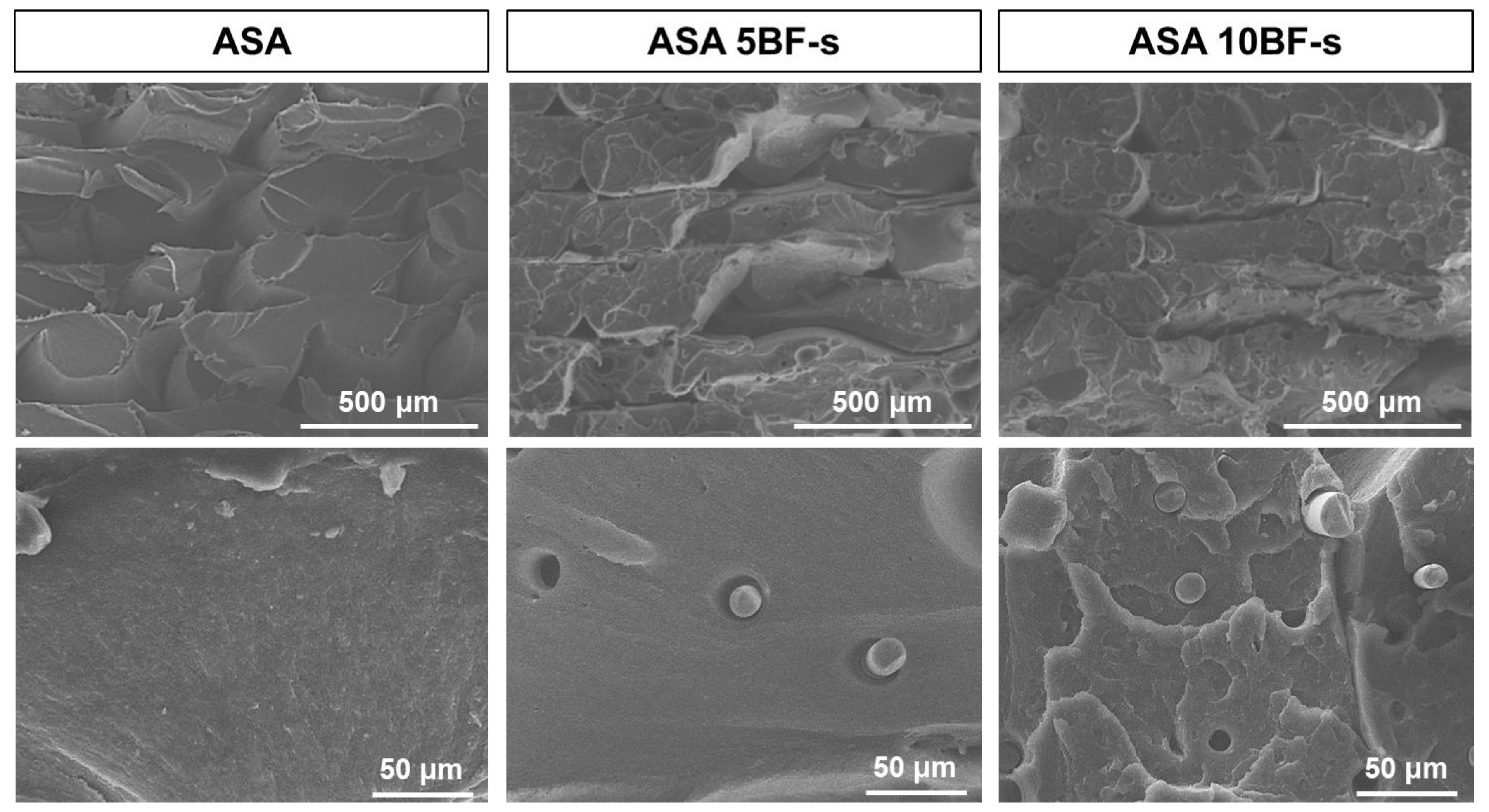 Polymers 14 03216 g006