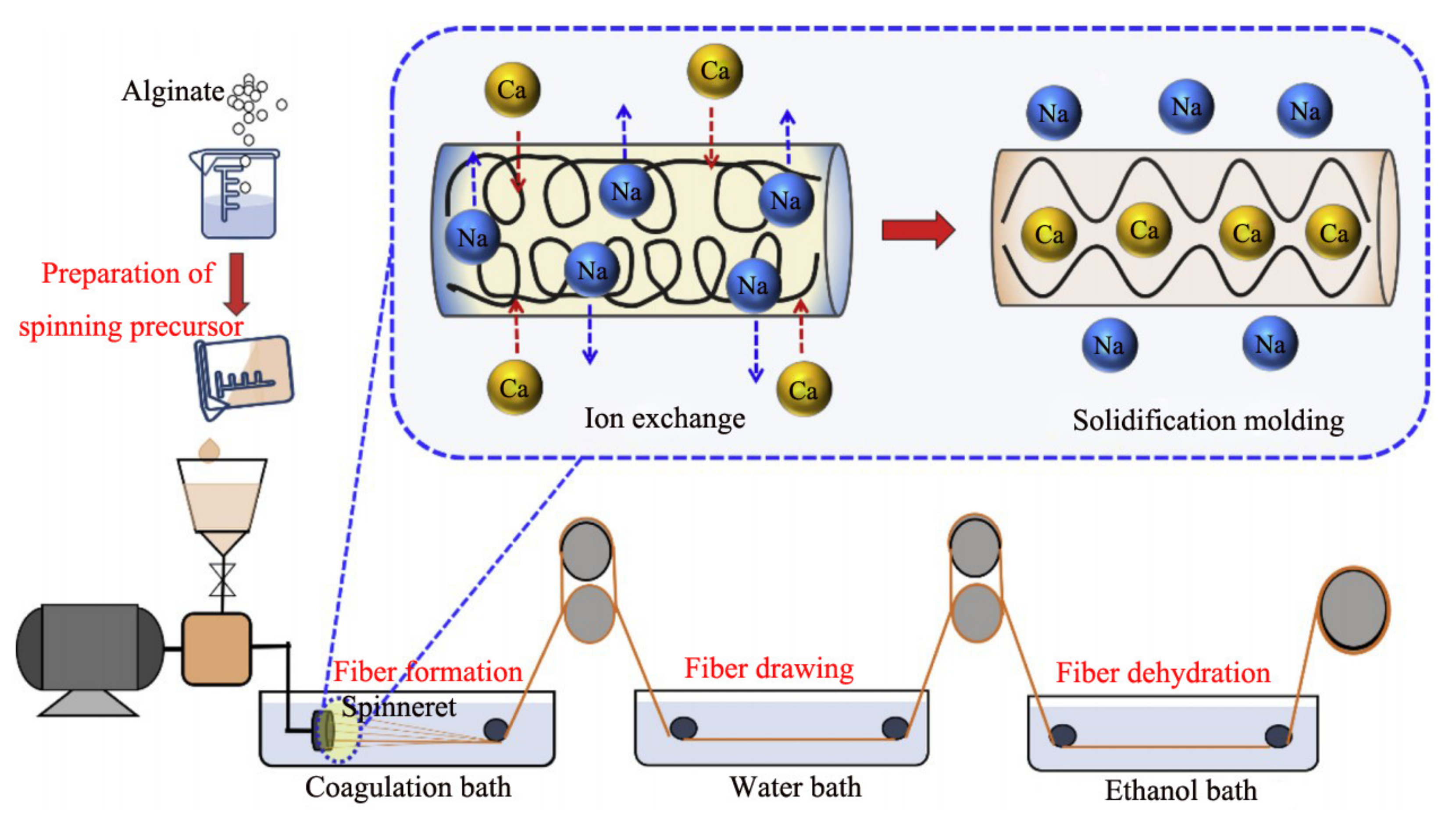 Polymers 14 03227 g005