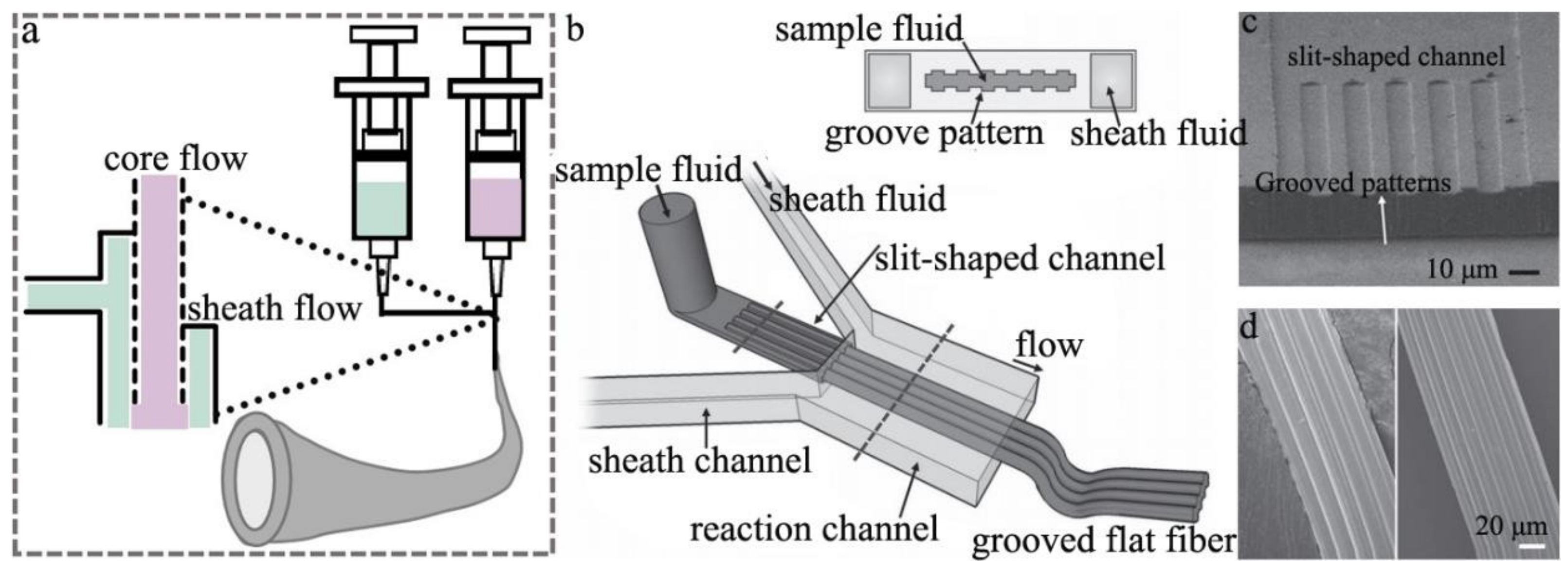 Polymers 14 03227 g008