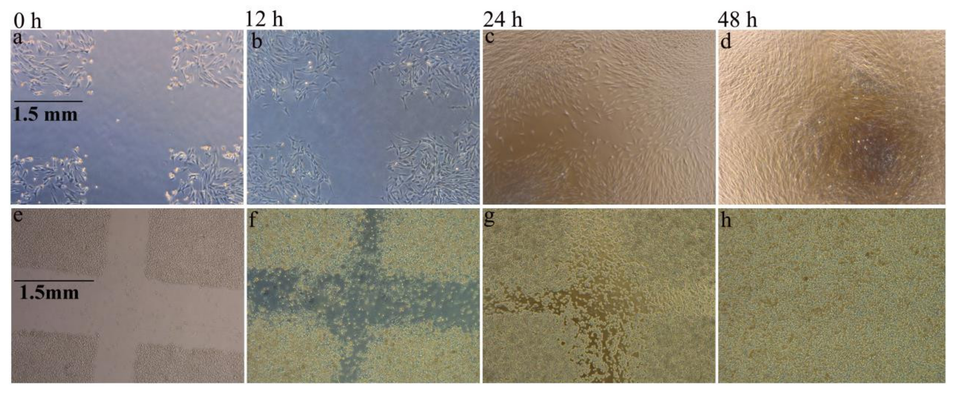 Polymers 14 03227 g011