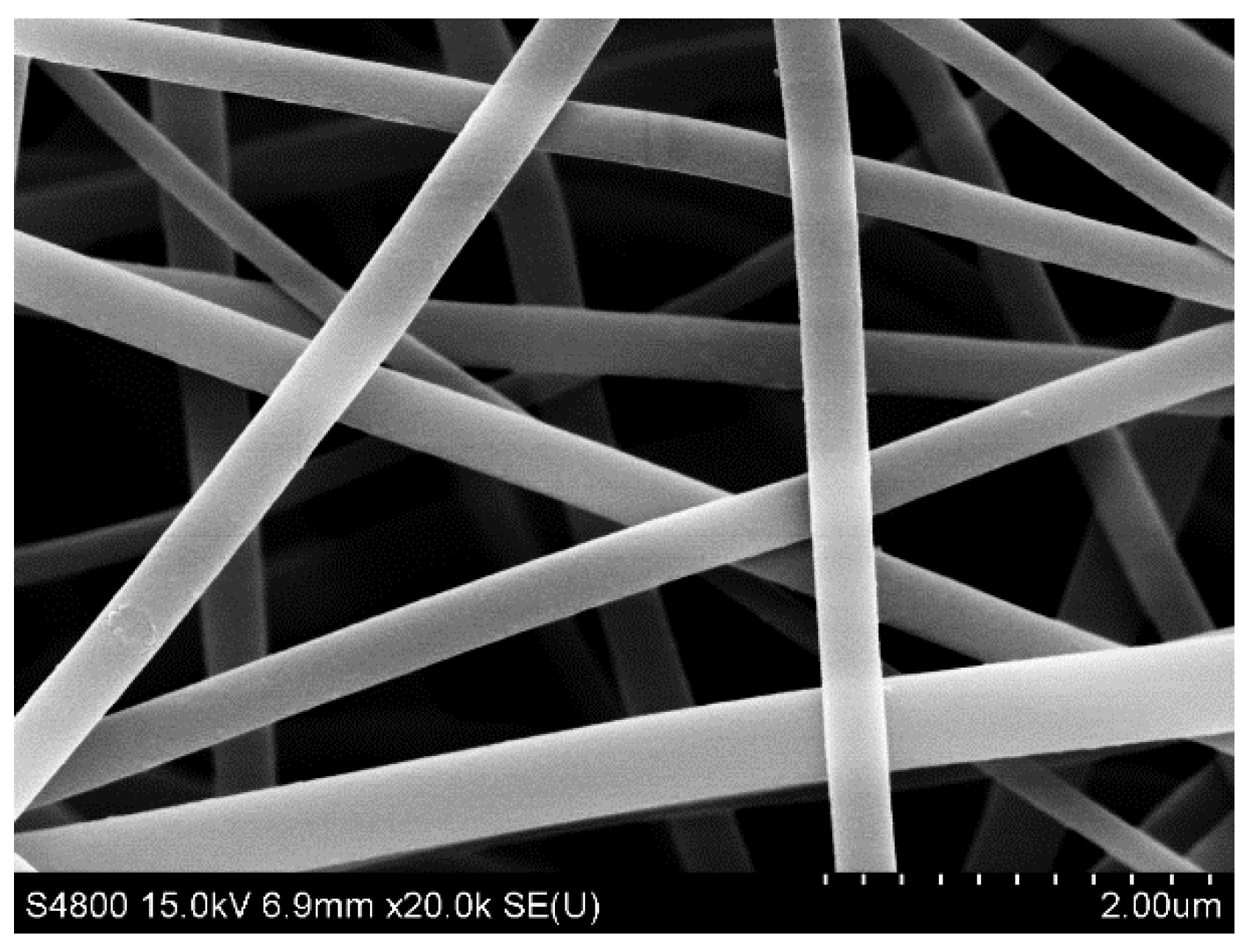 Polymers 14 03230 g002