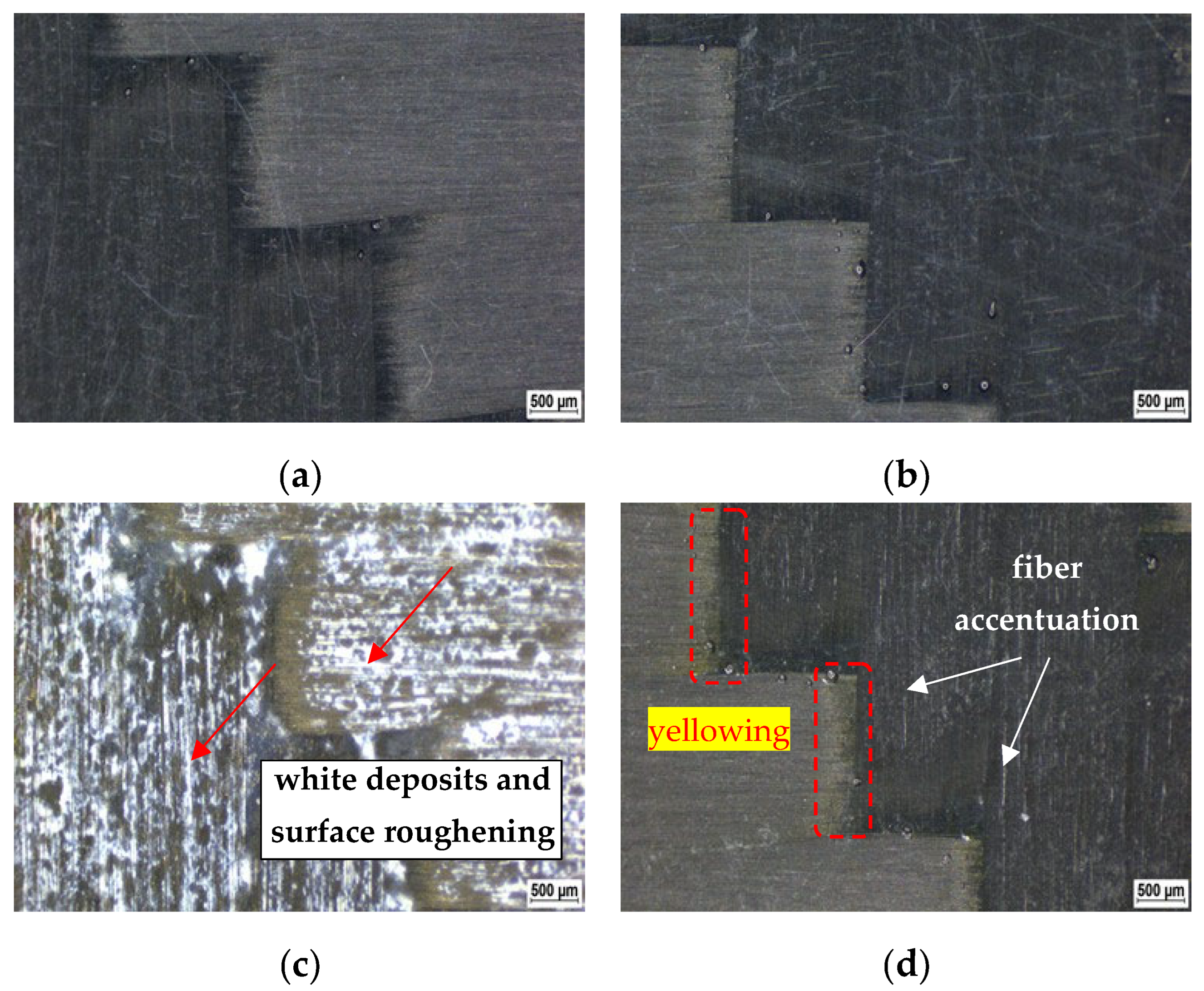 Polymers 14 03245 g002