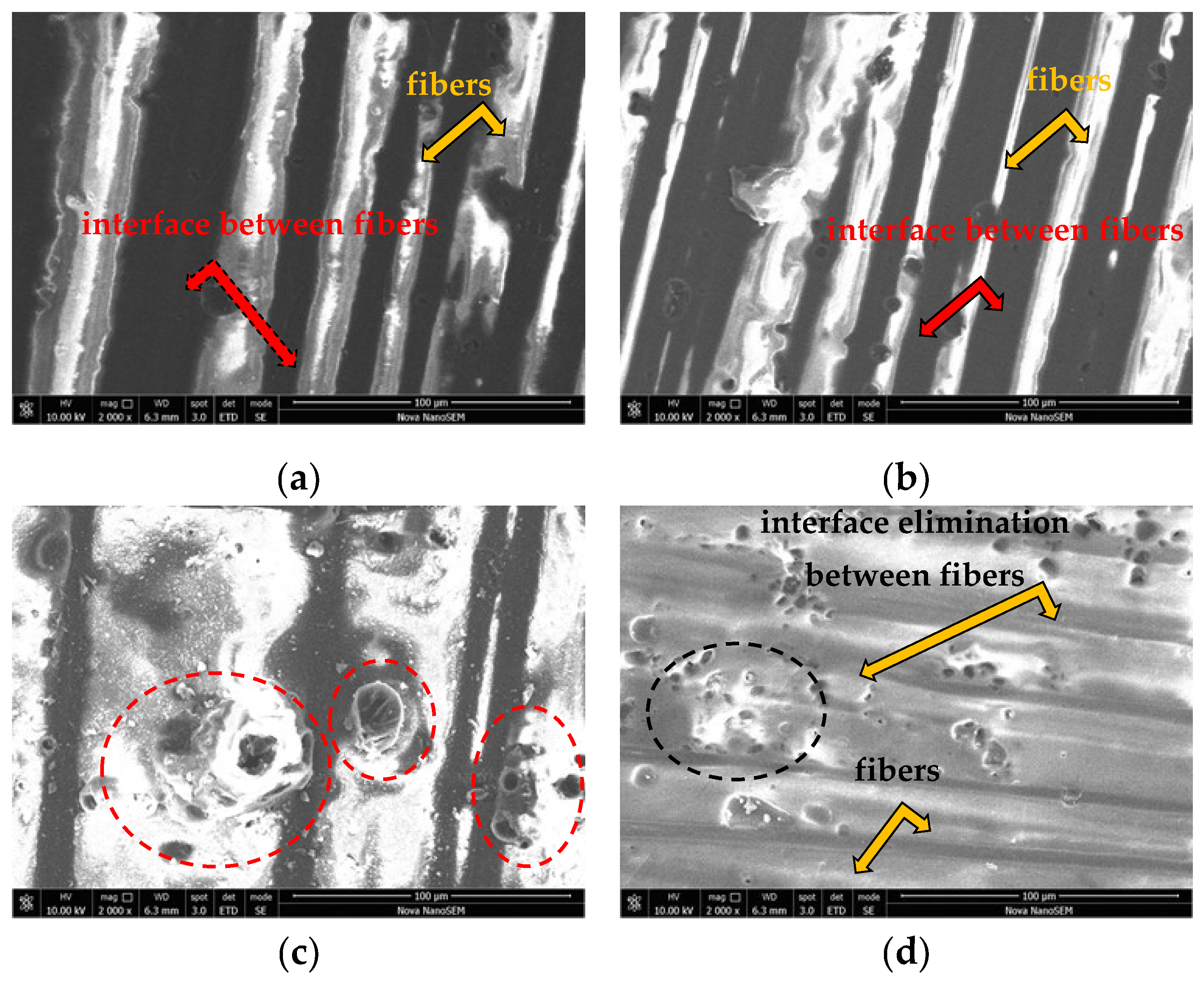 Polymers 14 03245 g003