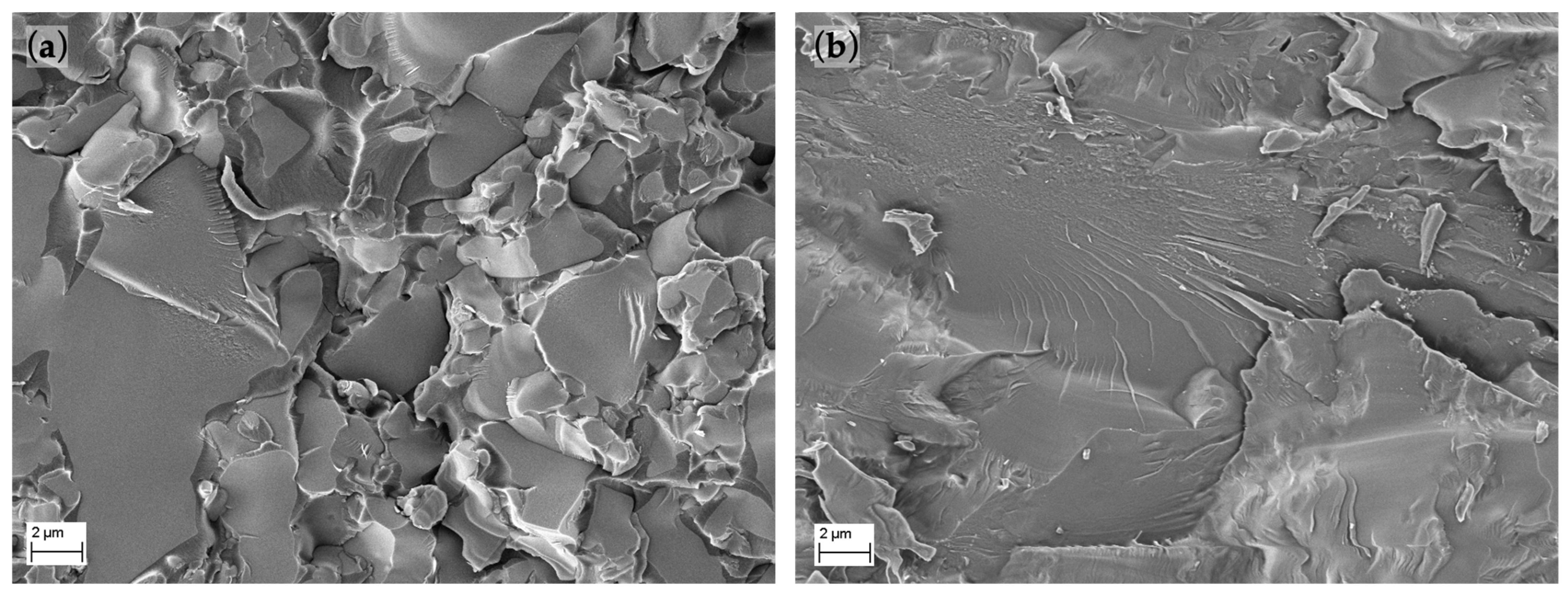 Polymers 14 03252 g010