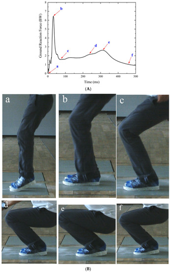Saint Laurent's Genius Heel-Less Shoe, According to Physics