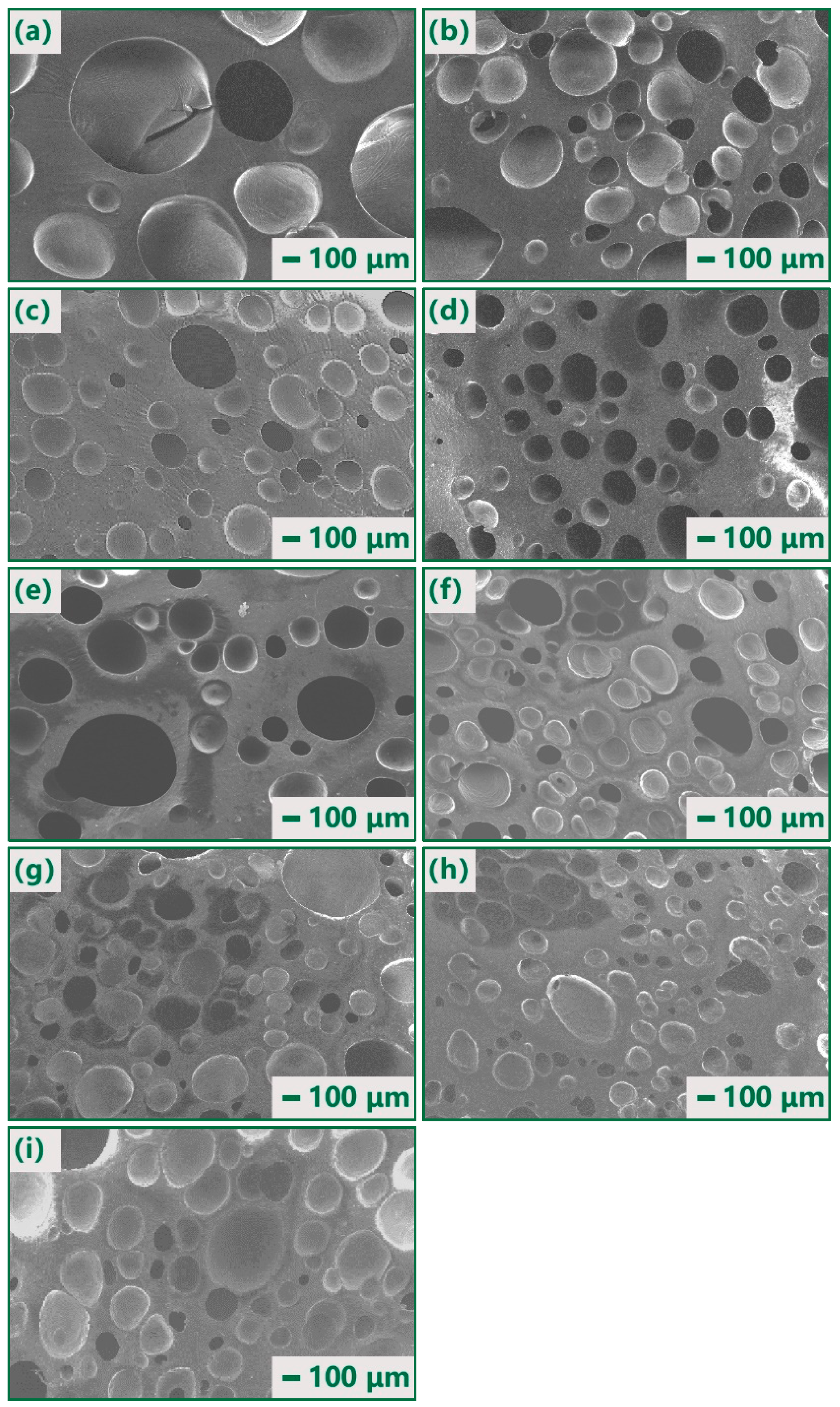 Polymers 14 03273 g003