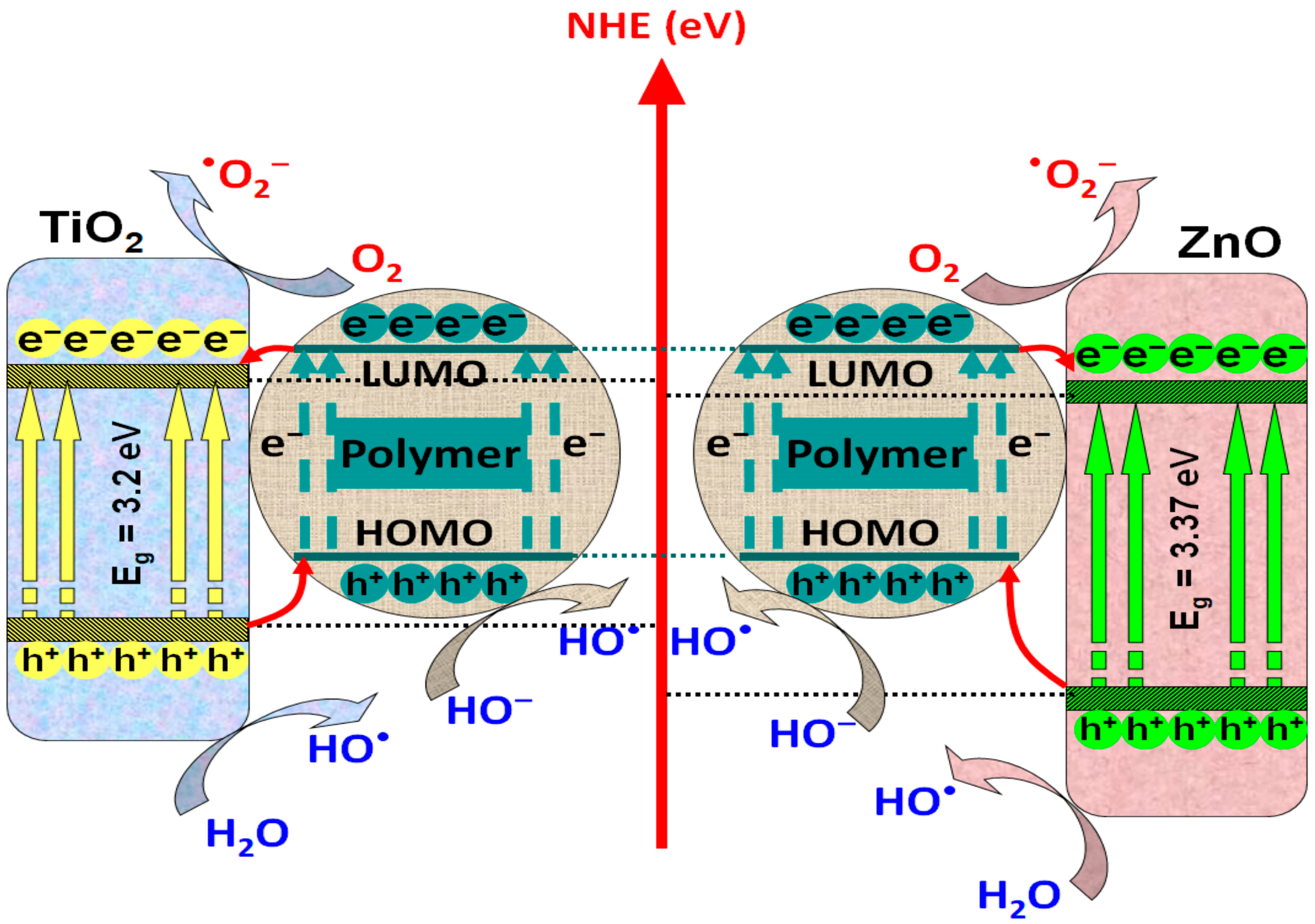Polymers 14 03291 g002