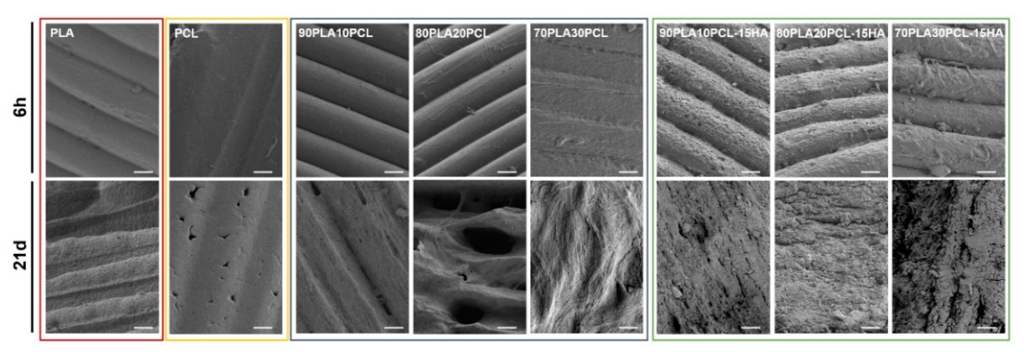 Polymers 14 03305 g006
