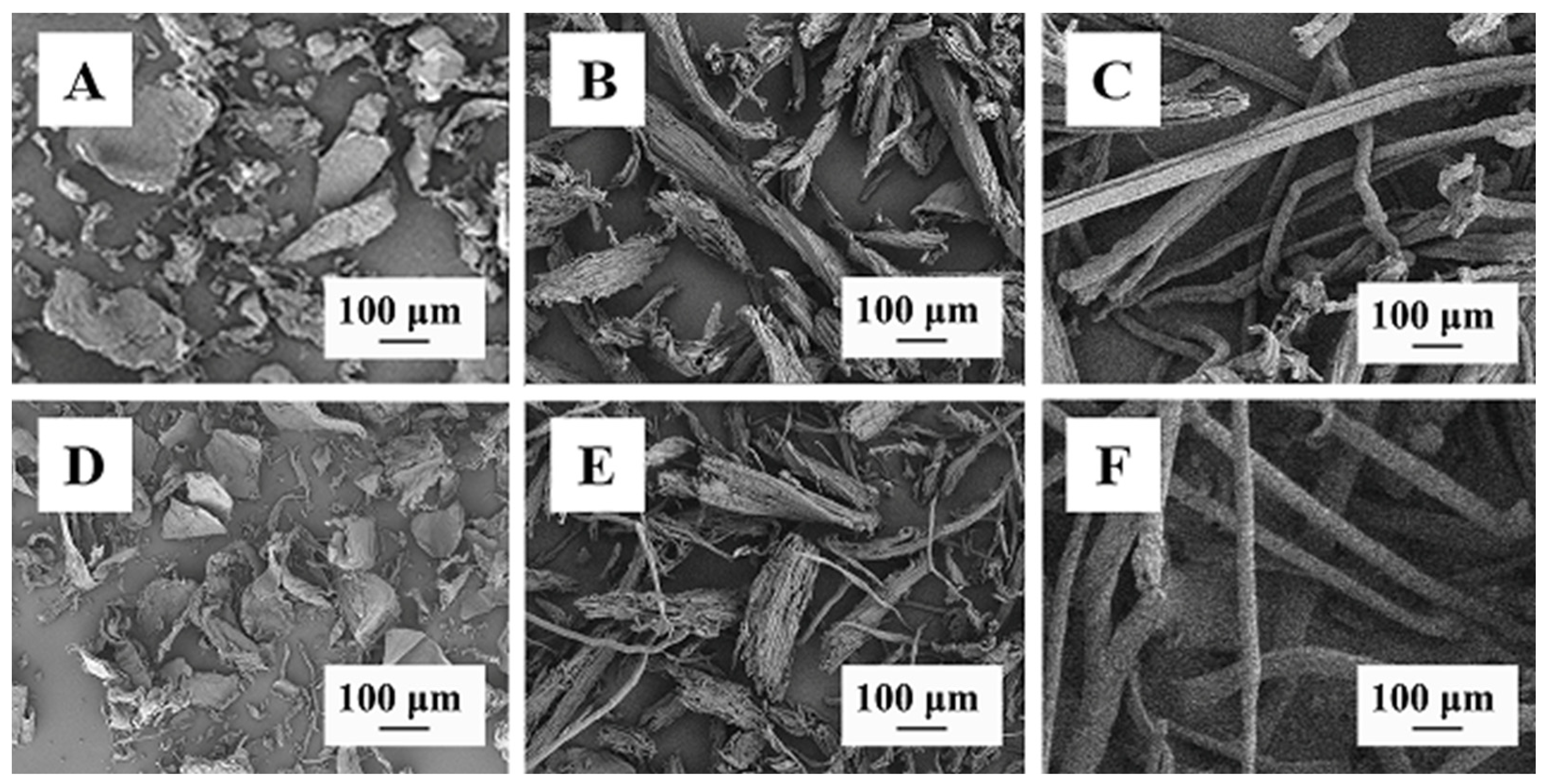 Polymers 14 03306 g002
