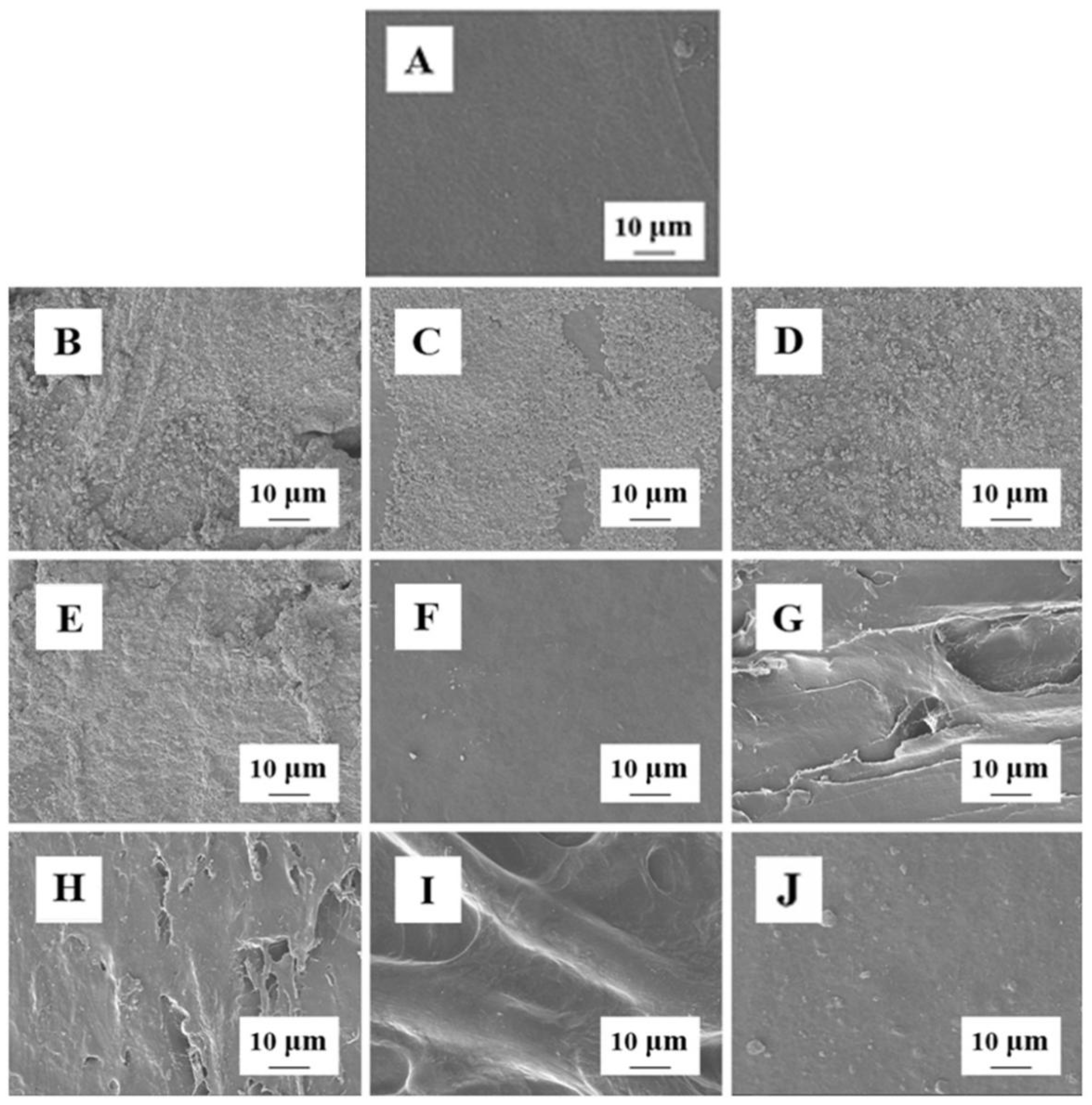 Polymers 14 03306 g008