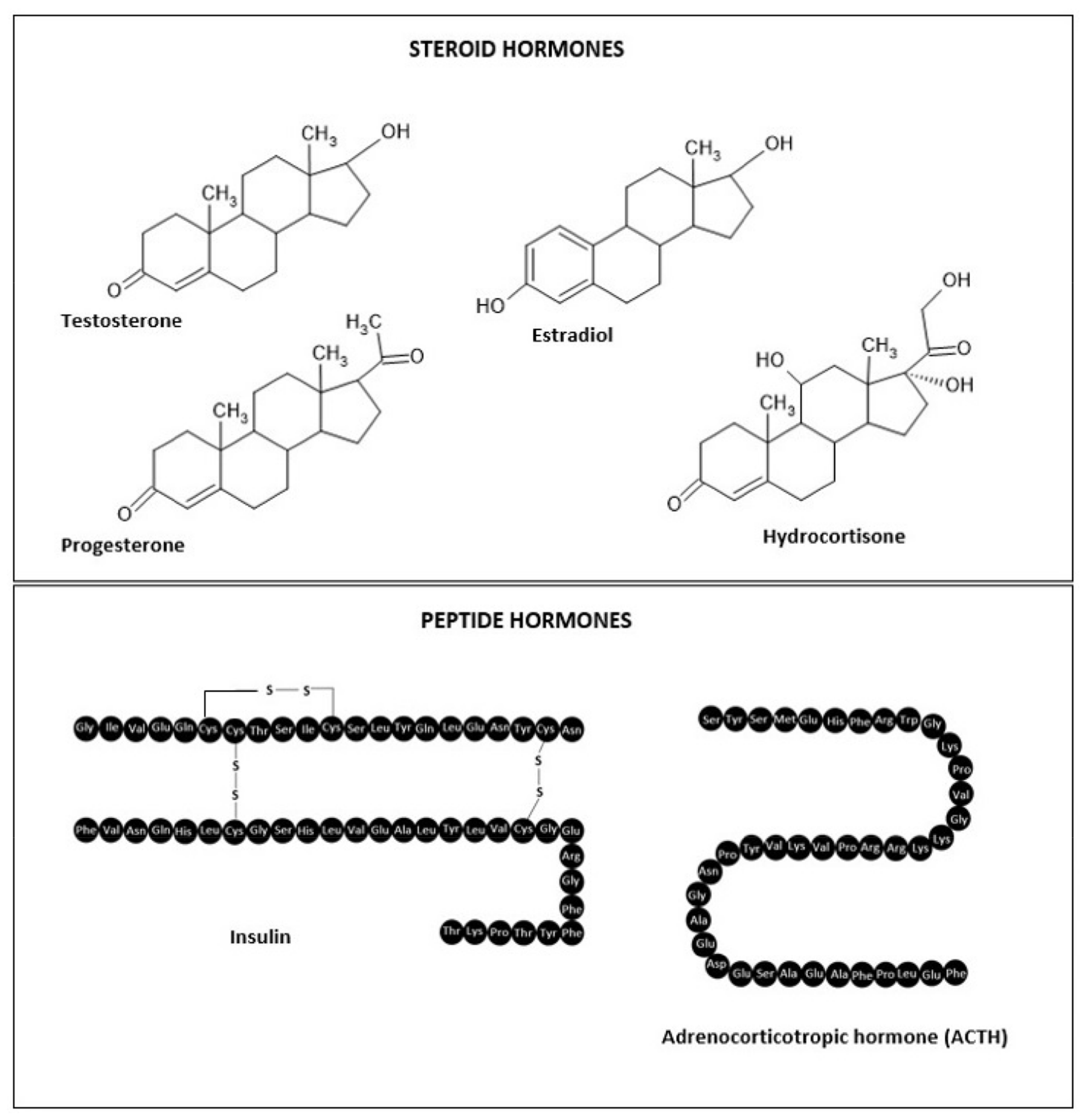 Polymers | Free Full-Text | The Potential of Pharmaceutical Hydrogels in  the Formulation of Topical Administration Hormone Drugs