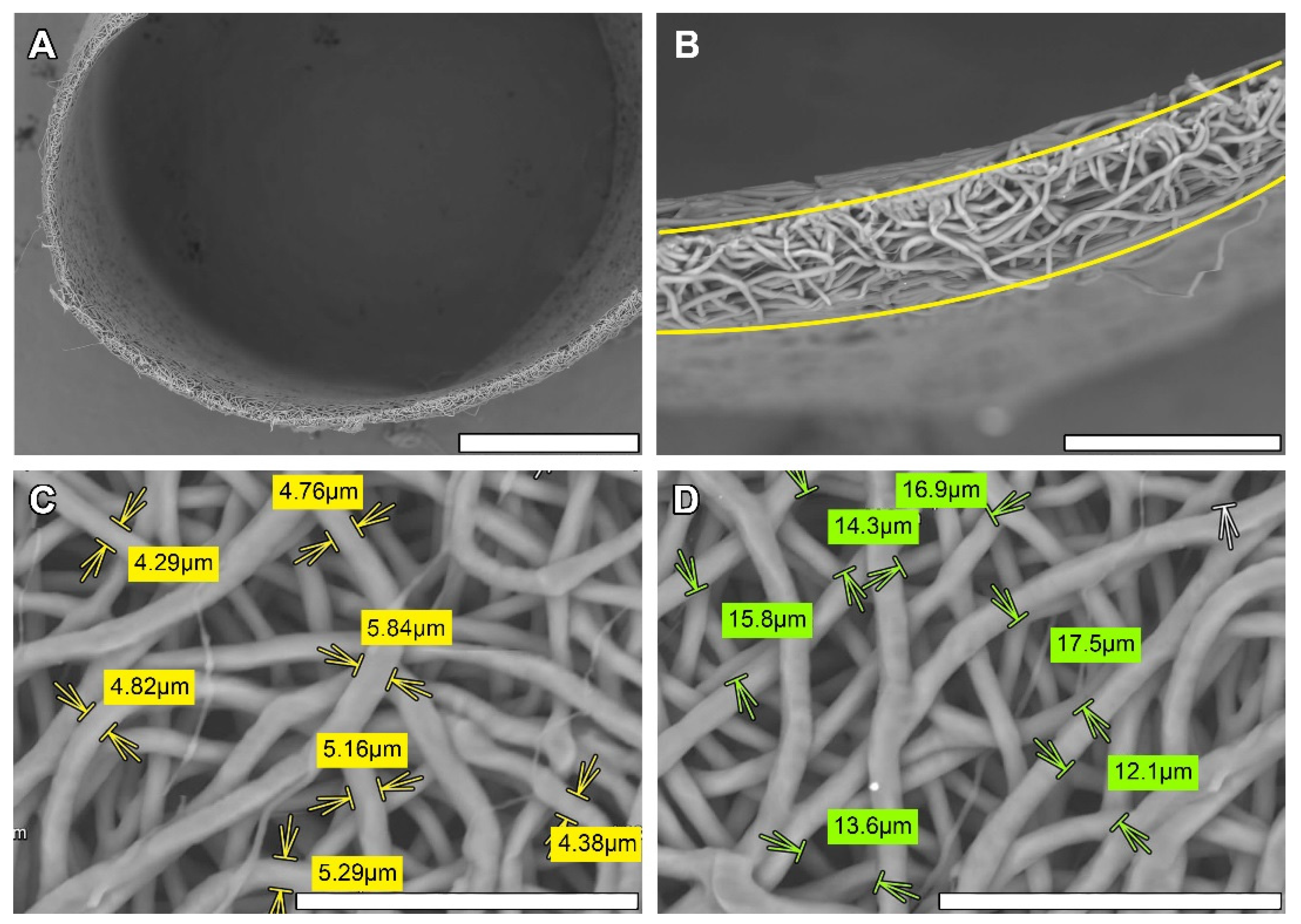 Polymers 14 03313 g001