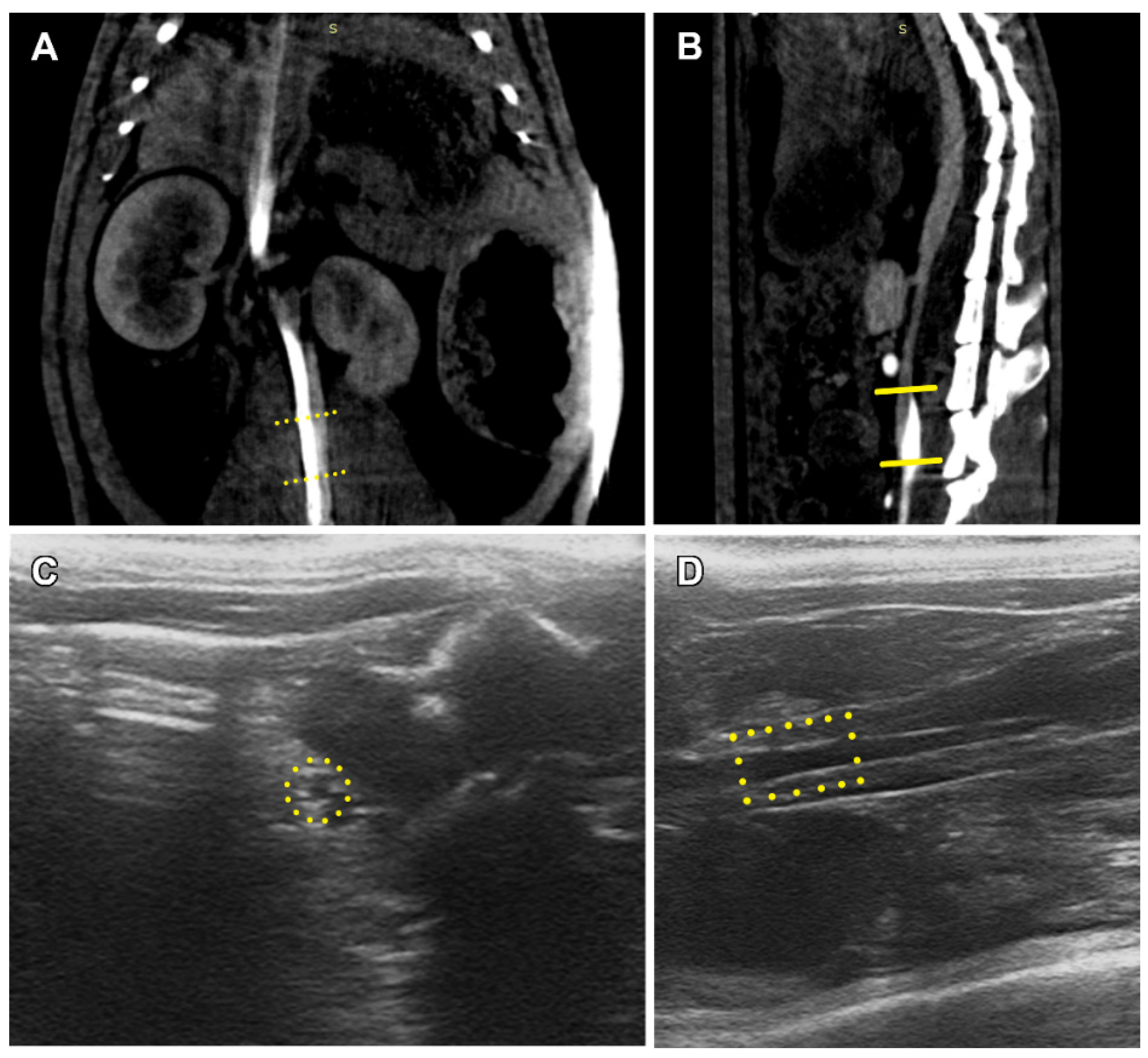 Polymers 14 03313 g003