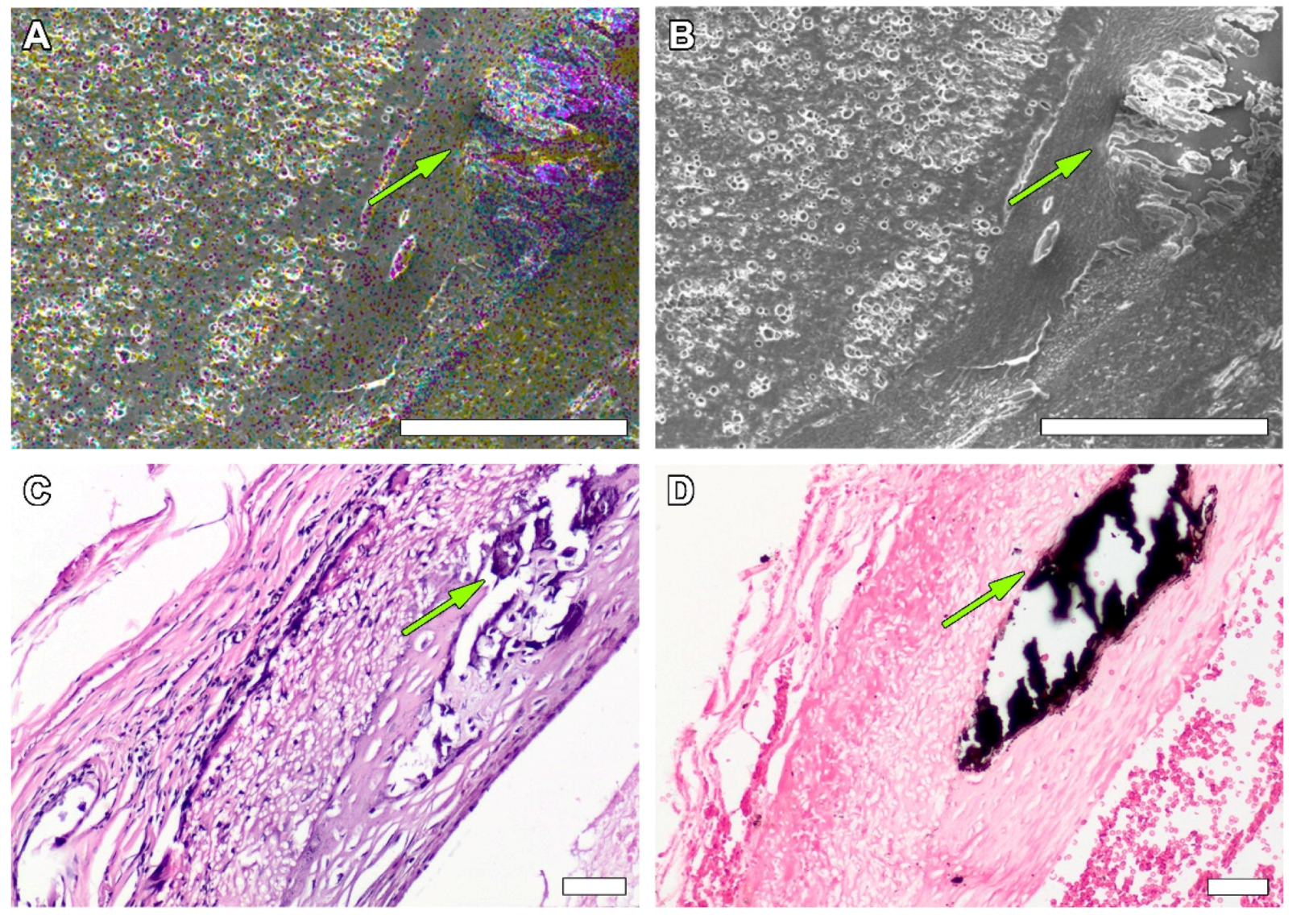 Polymers 14 03313 g007