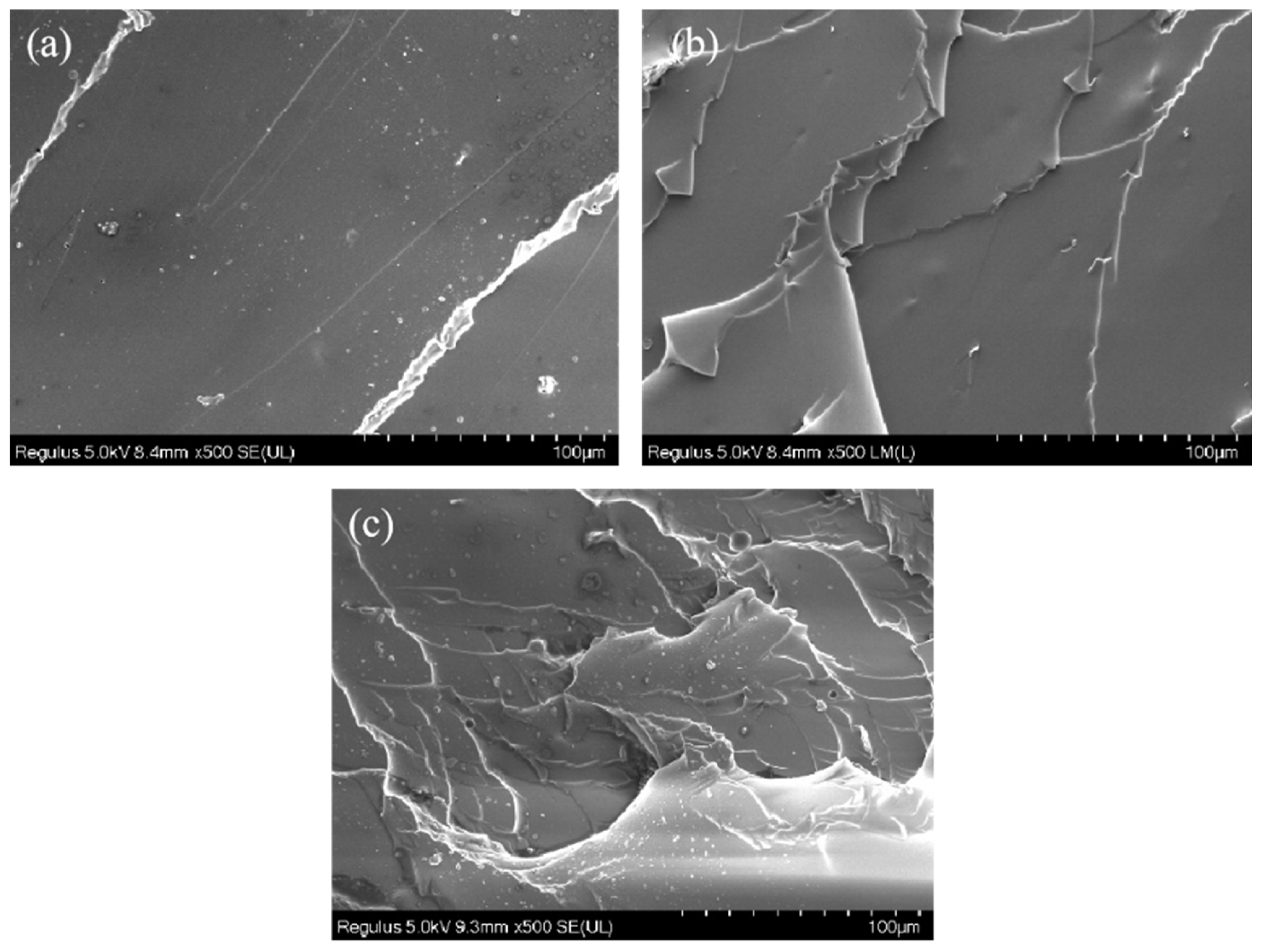 Polymers 14 03315 g005