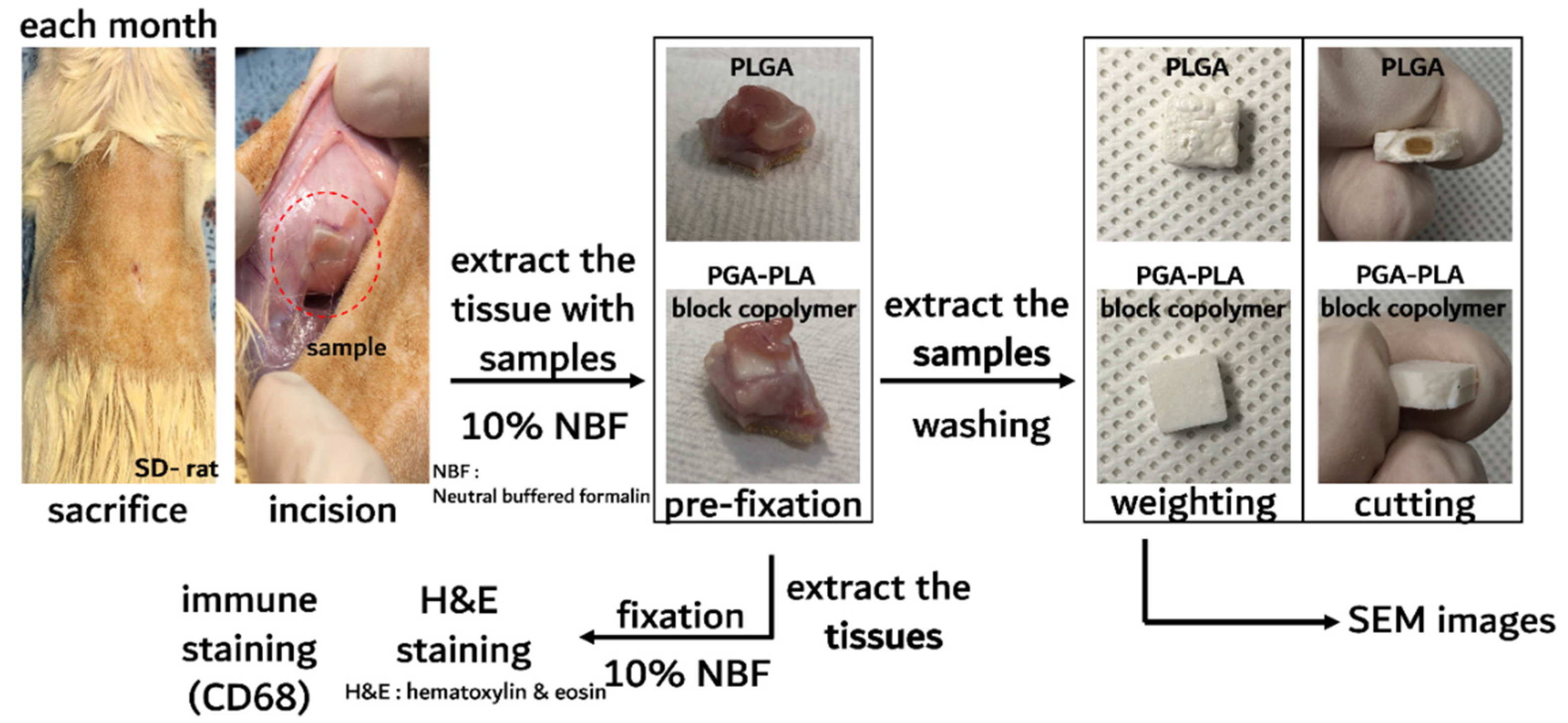 Polymers 14 03322 g006