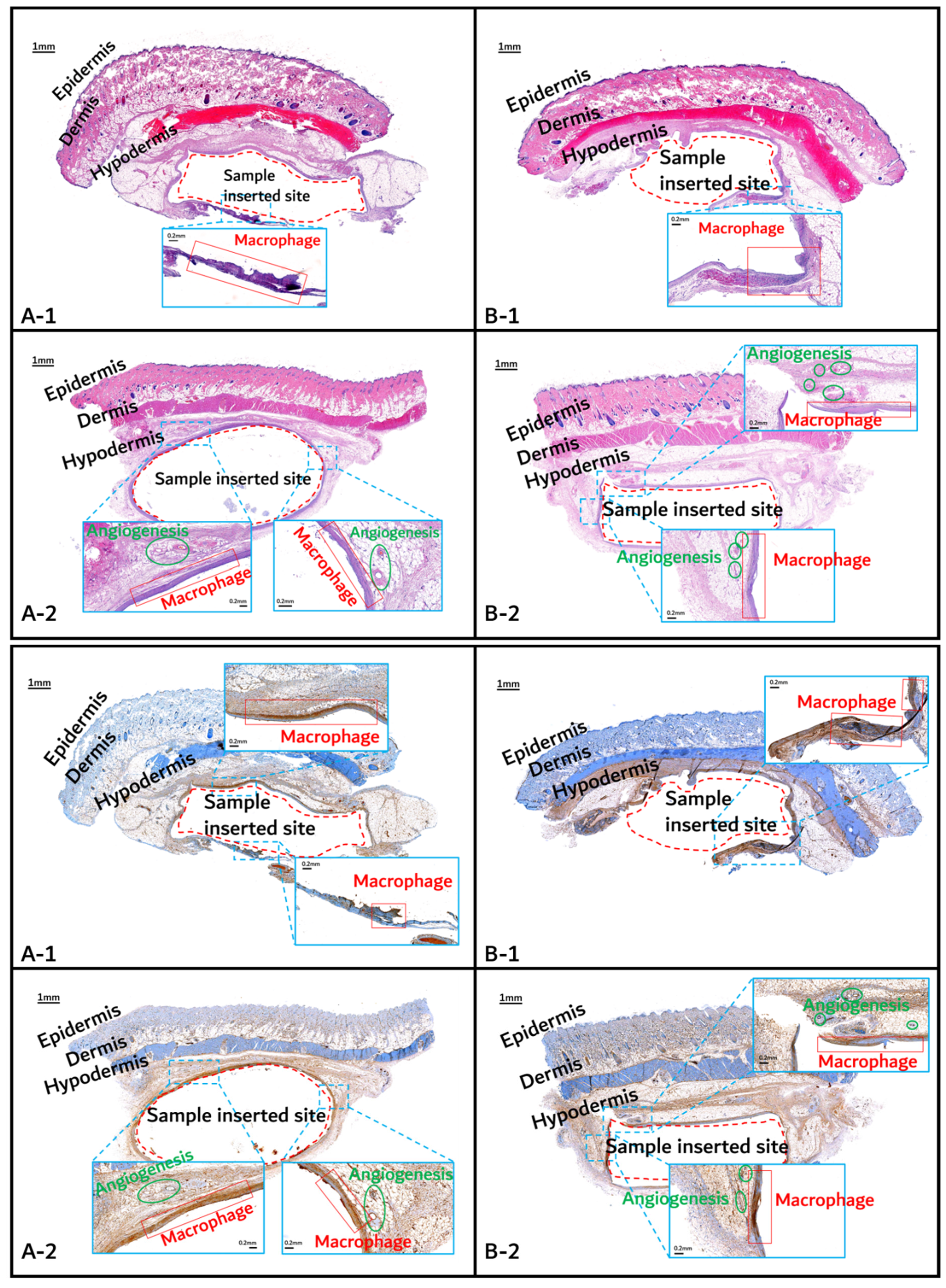 Polymers 14 03322 g011