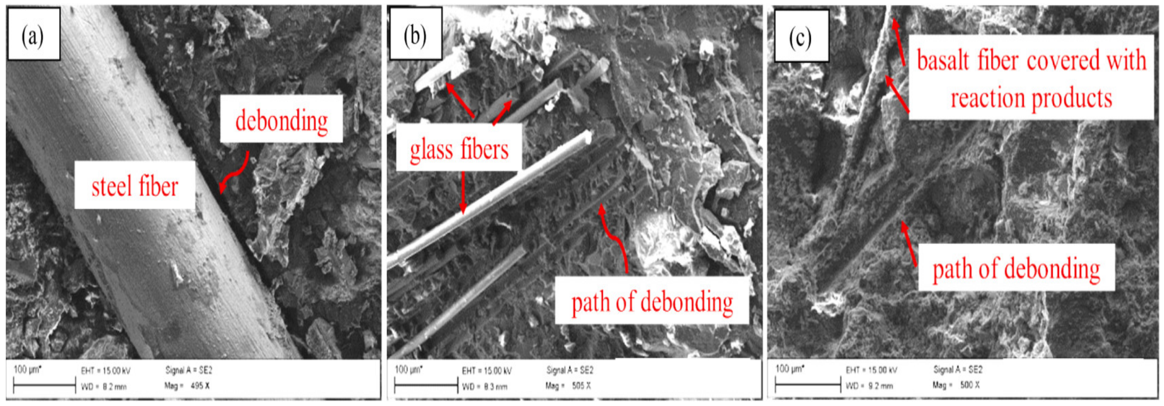 Polymers 14 03333 g005