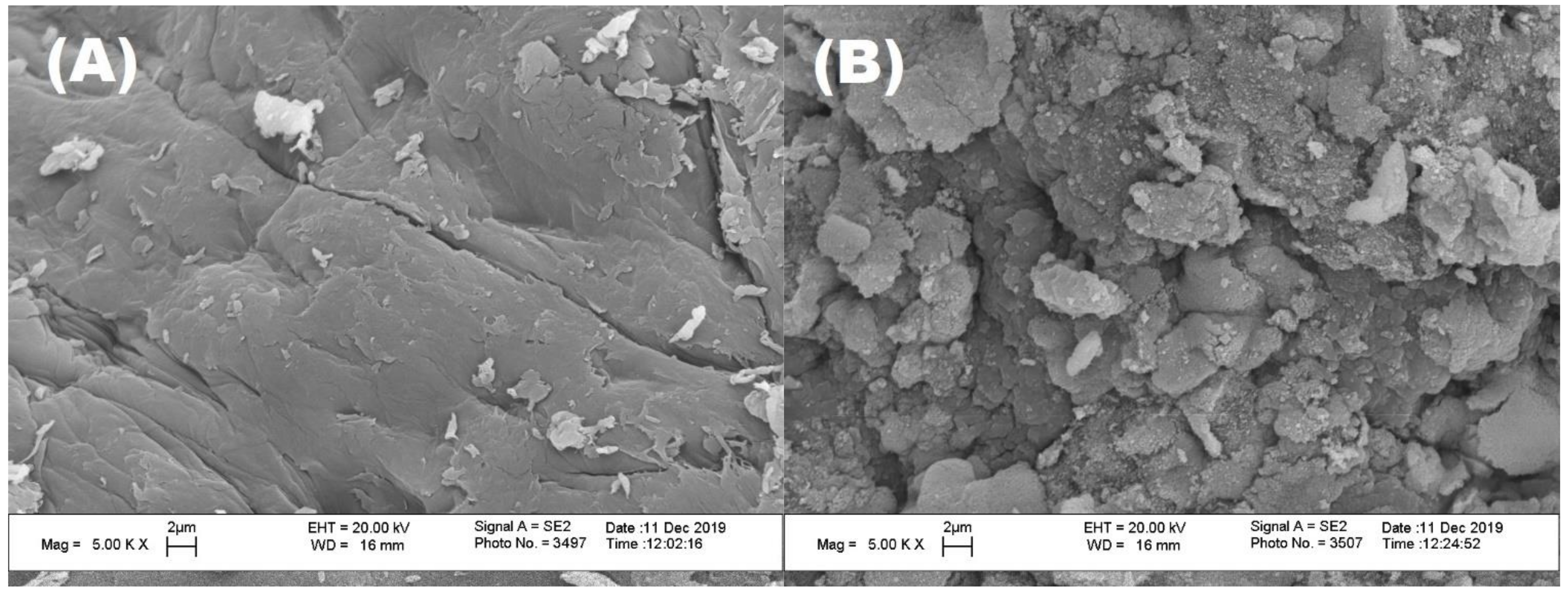 Polymers 14 03347 g004