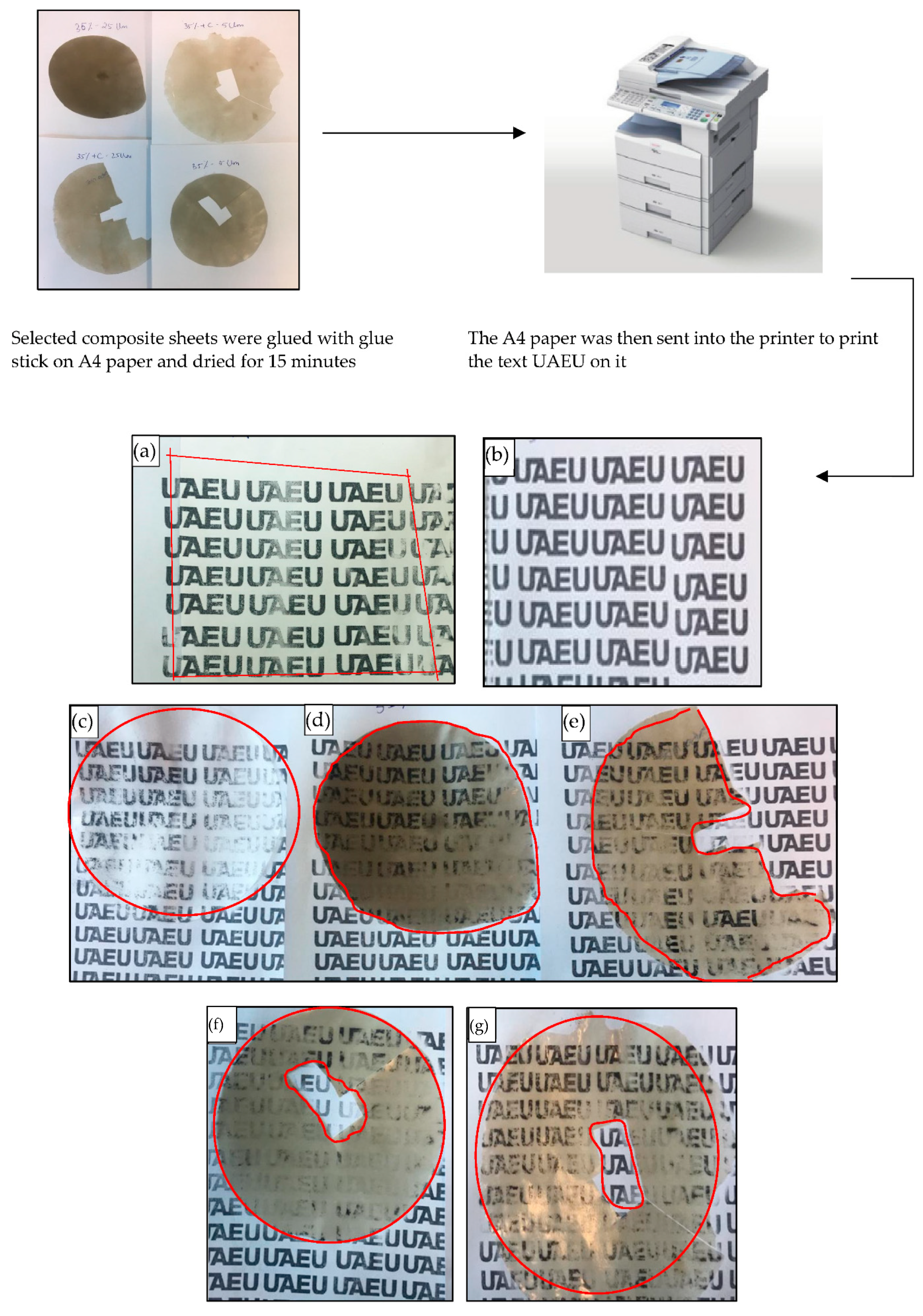 Polymers 14 03351 g014