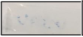 Polymers 14 03351 i016