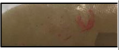 Polymers 14 03351 i033